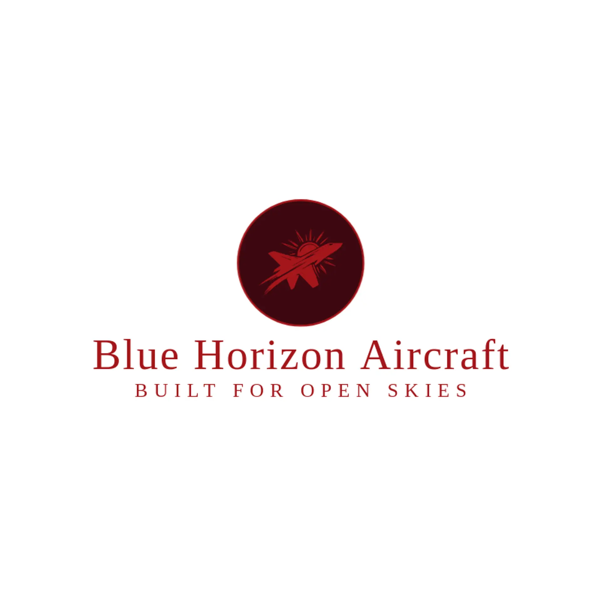 Blue Horizon Aircraft logo for aerospace