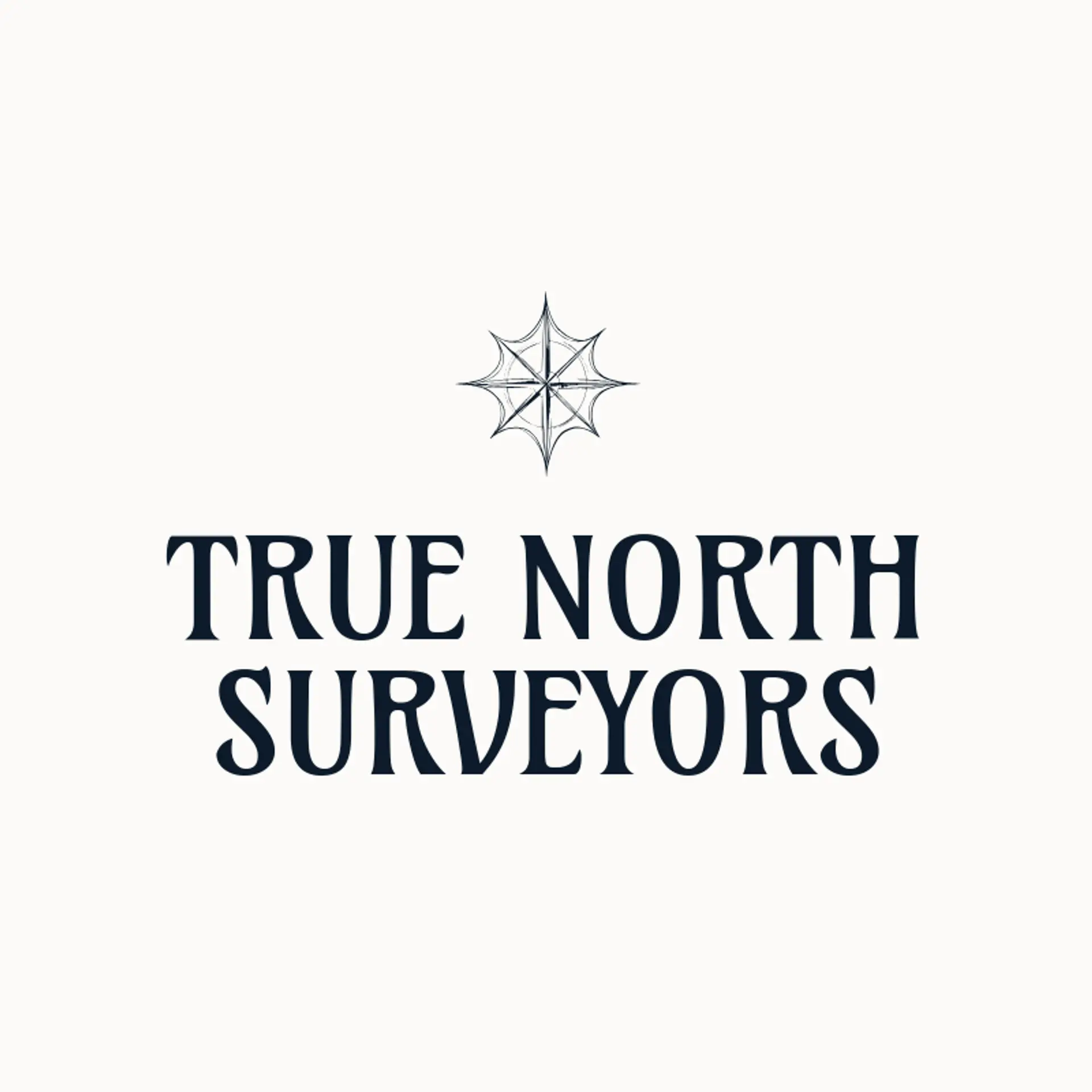 True North Surveyors logo for surveying