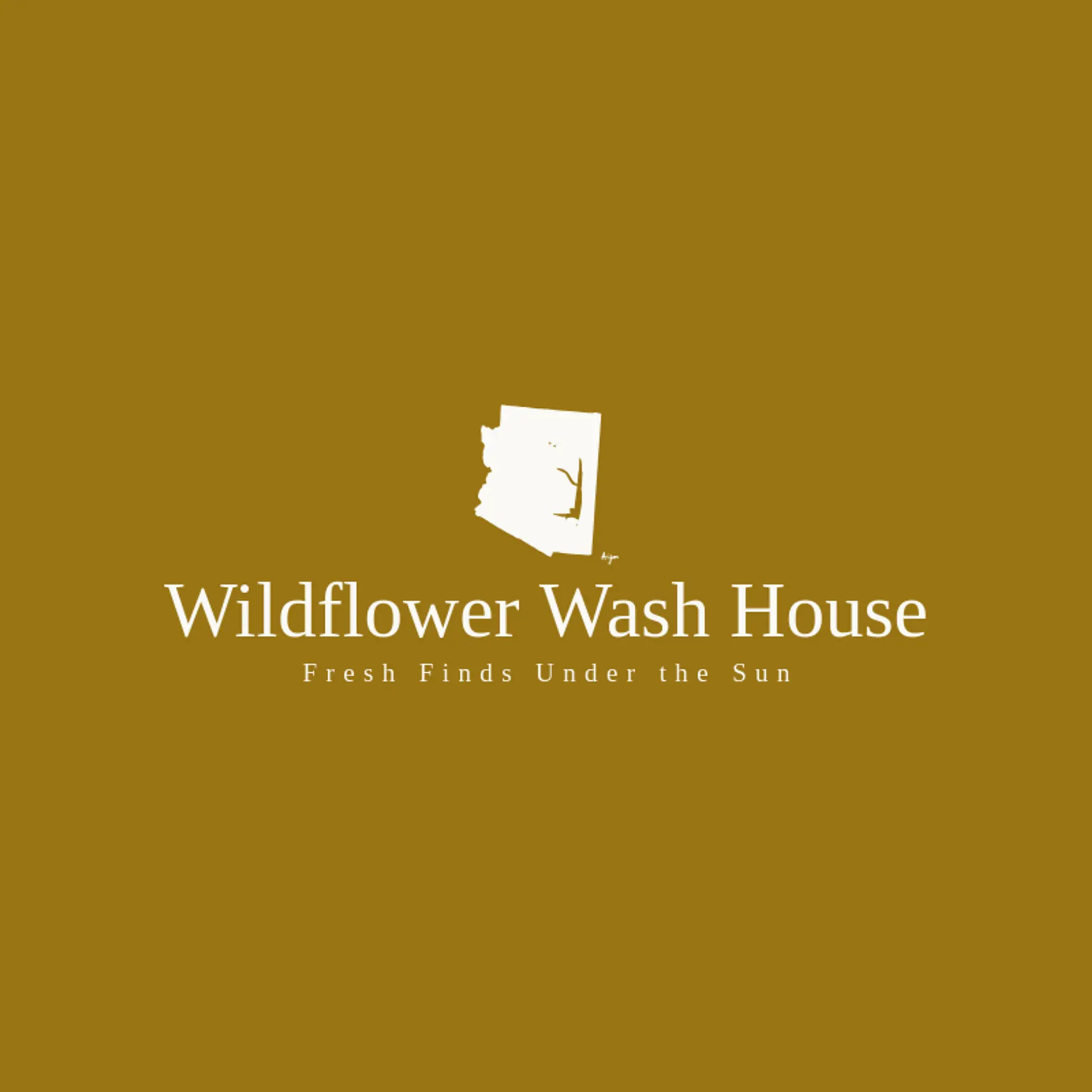 Wildflower Wash House logo for arizona