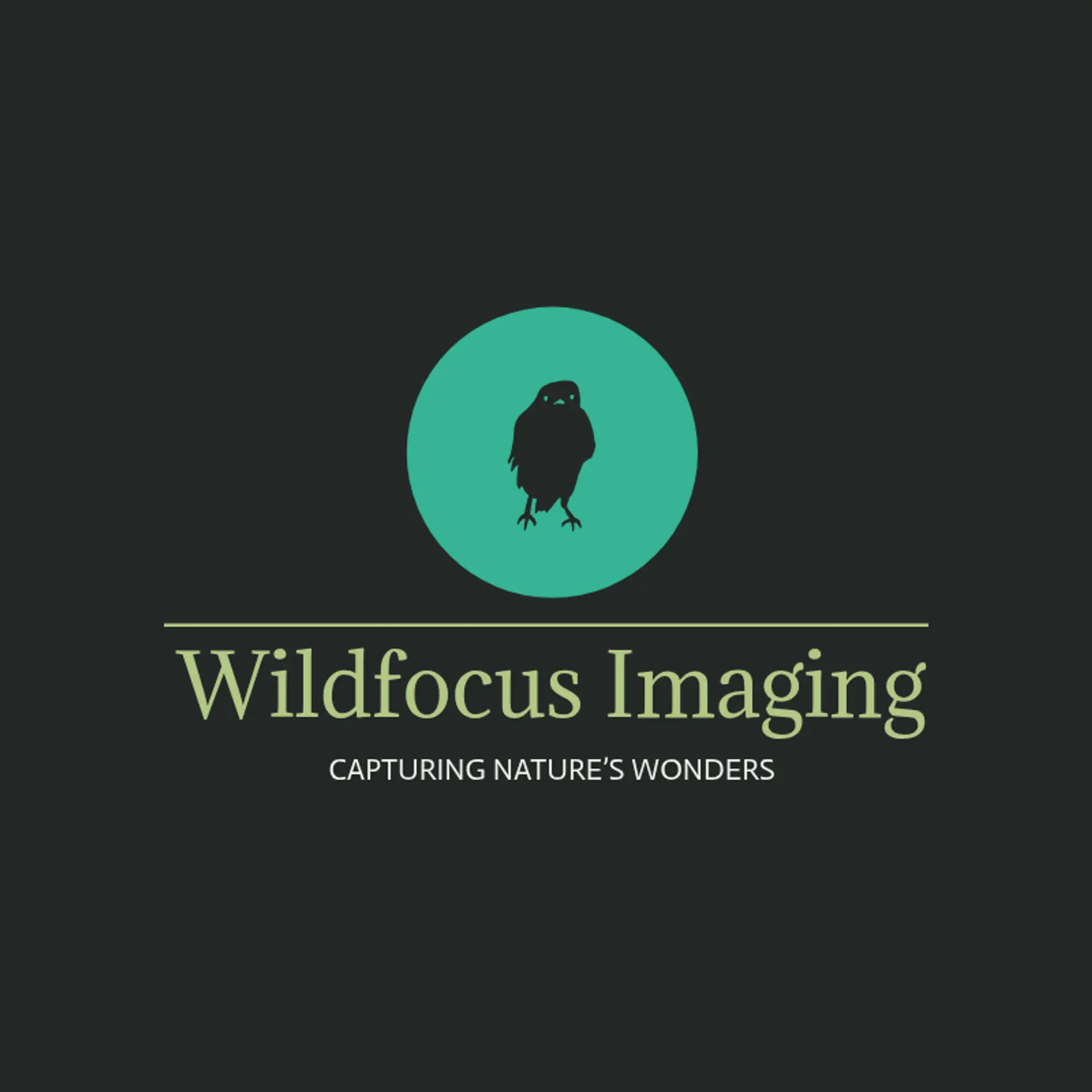 Wilderness Lens logo for wildlife photography