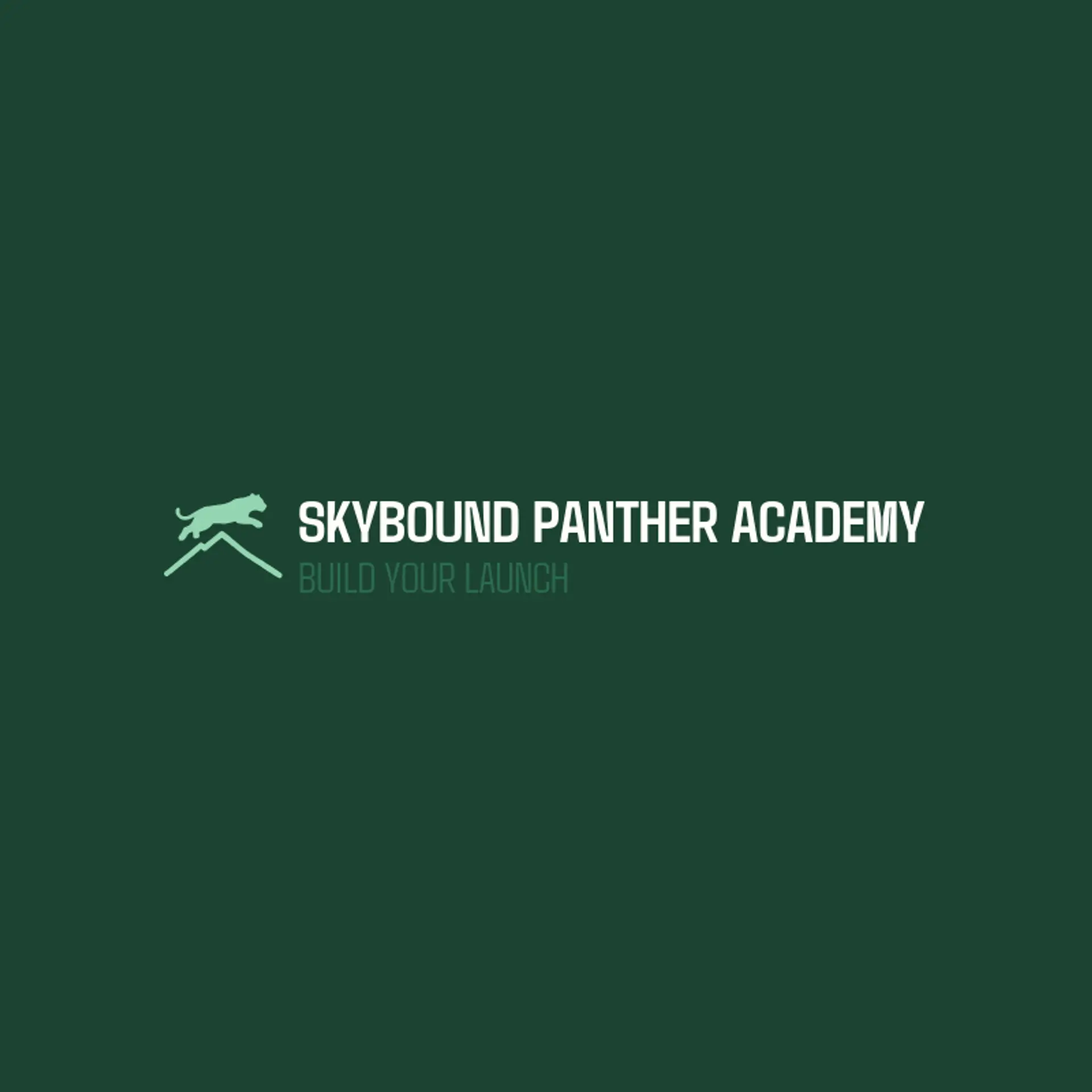 Skybound Panther Academy logo for panther