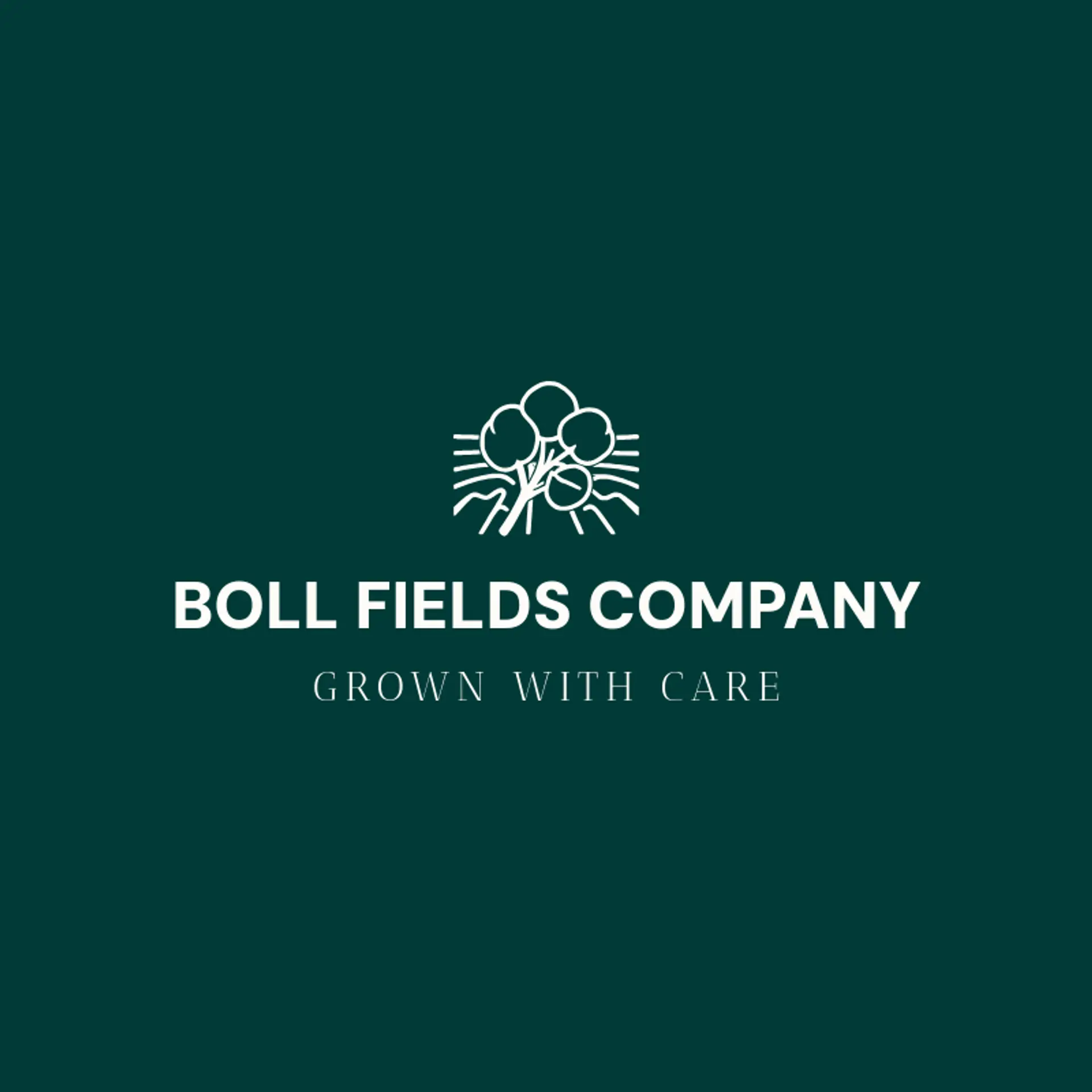 Boll Fields Company logo for cotton