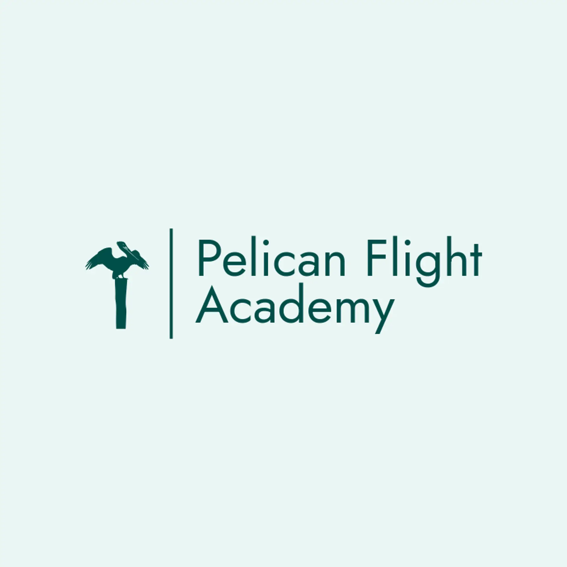 Pelican Flight Academy logo for pelican
