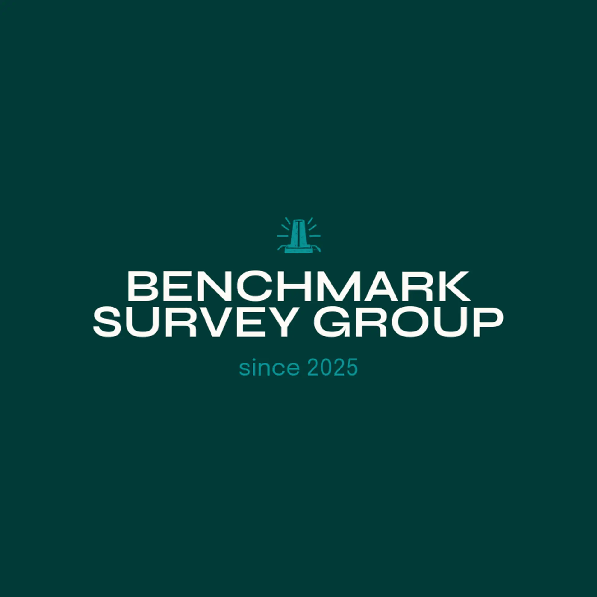 Benchmark Survey Group logo for surveying