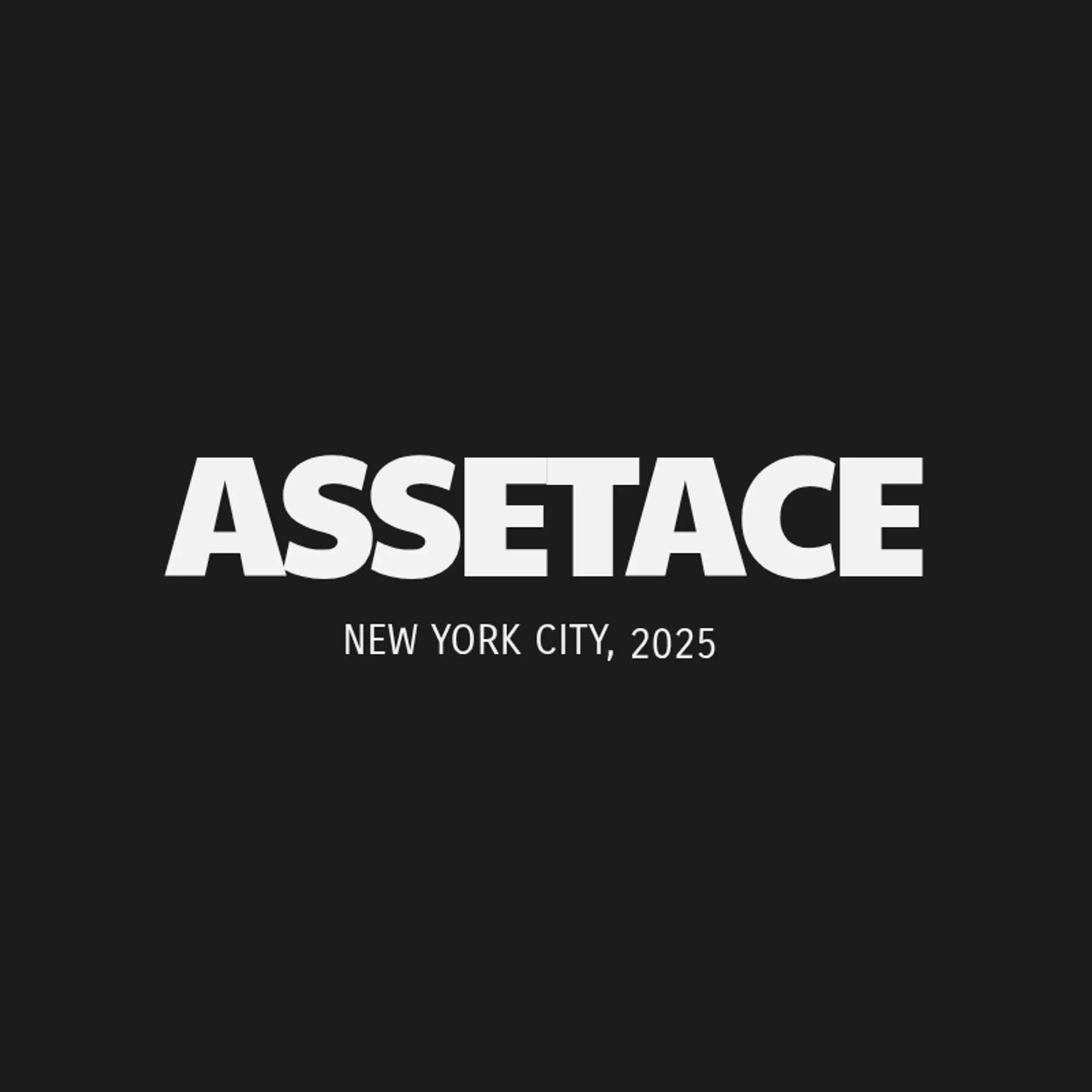 AssetAce logo for finance