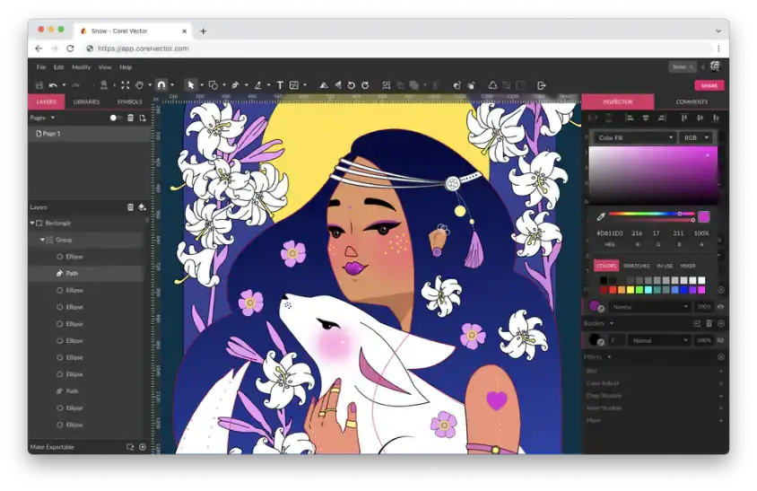 Corel Vector editor