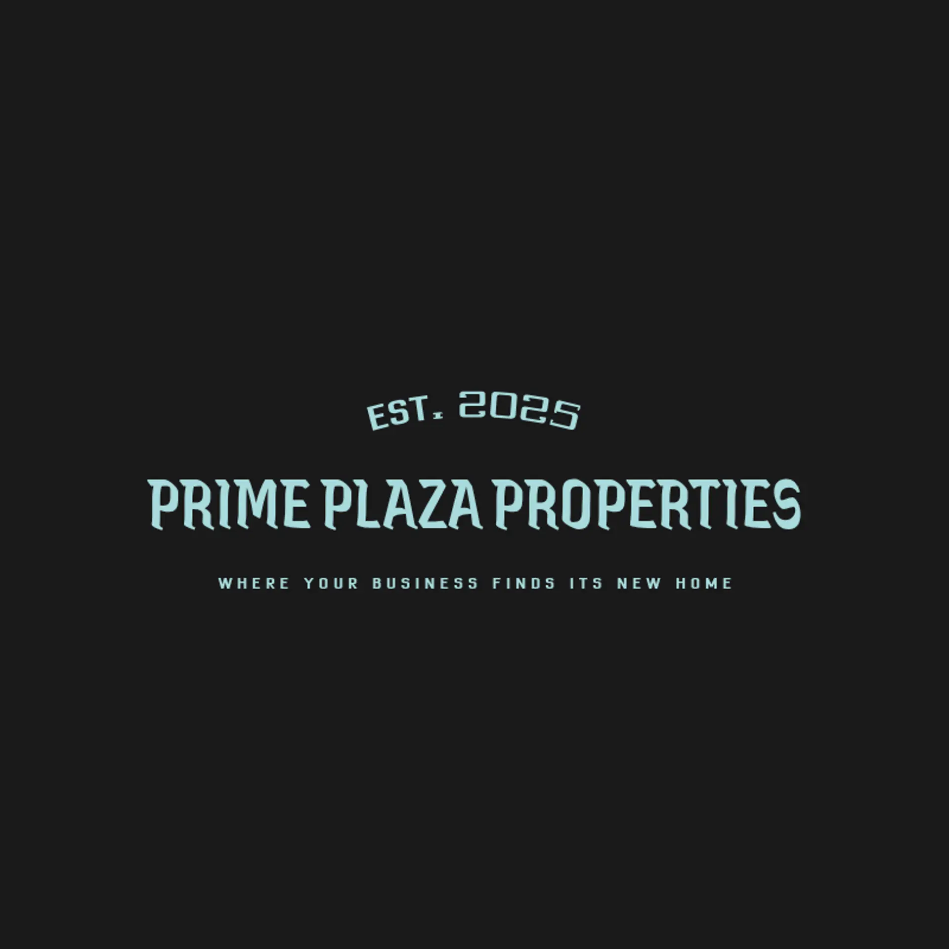 Prime Plaza Properties logo for commercial real estate