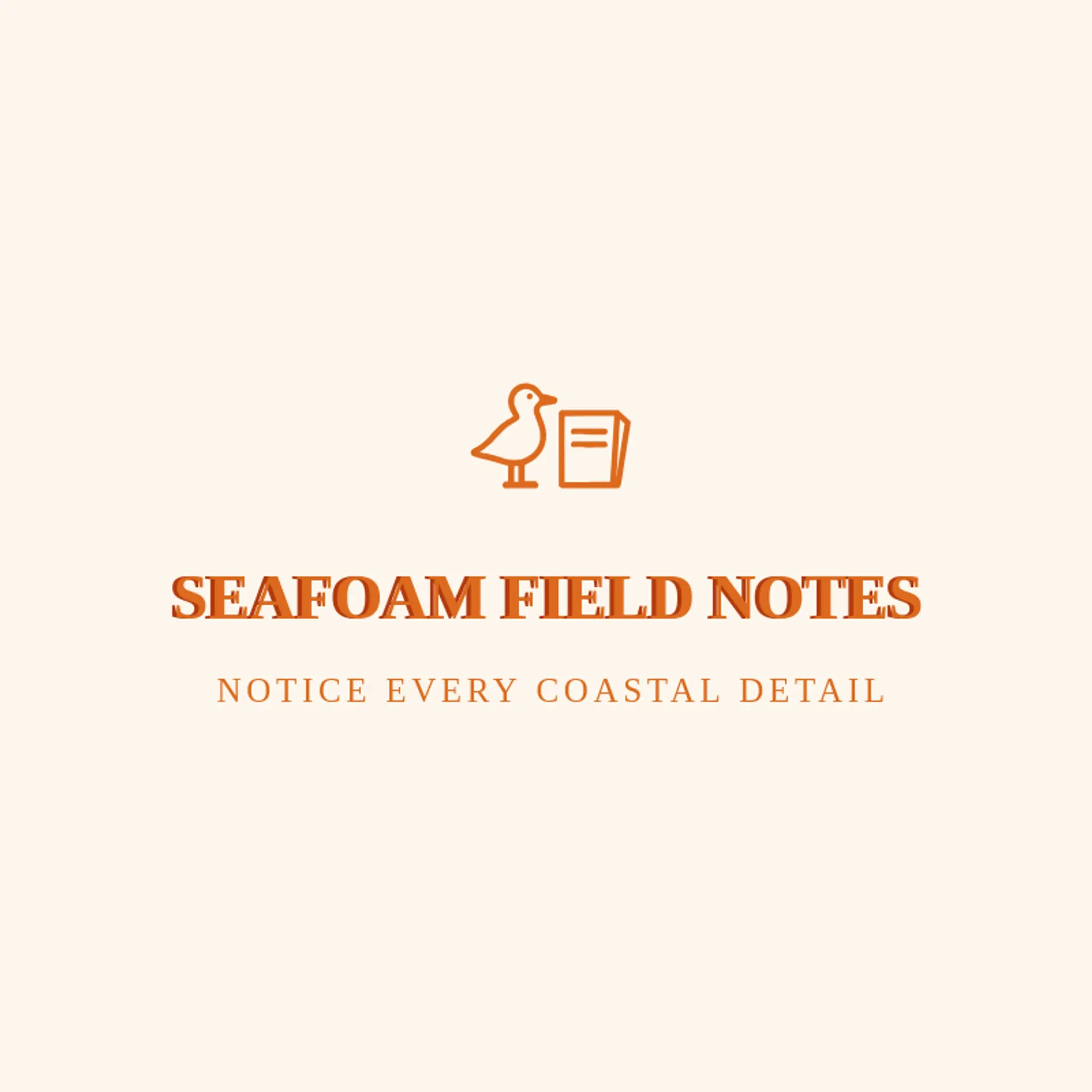 Seafoam Field Notes logo for seagull