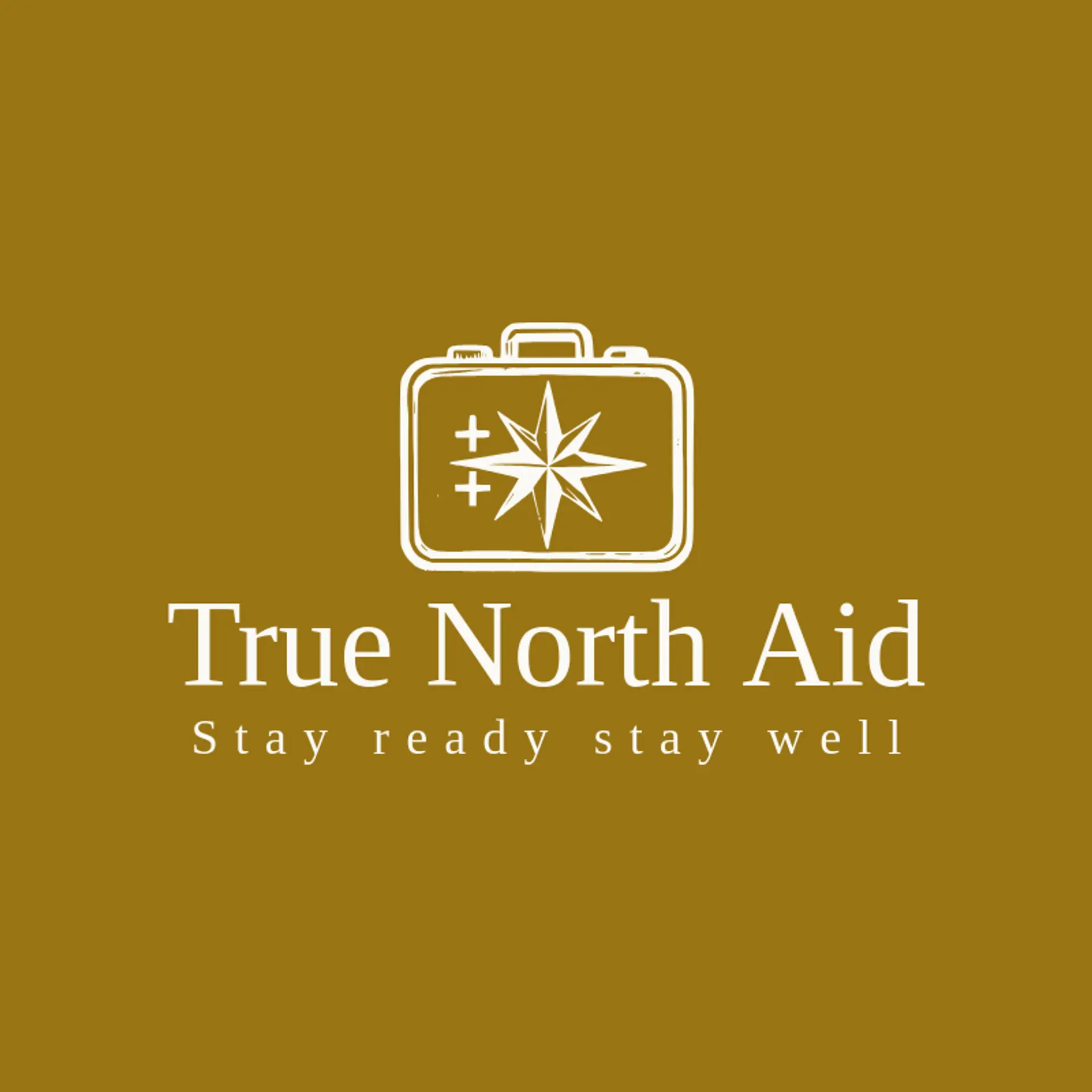 True North Aid logo for first aid kit