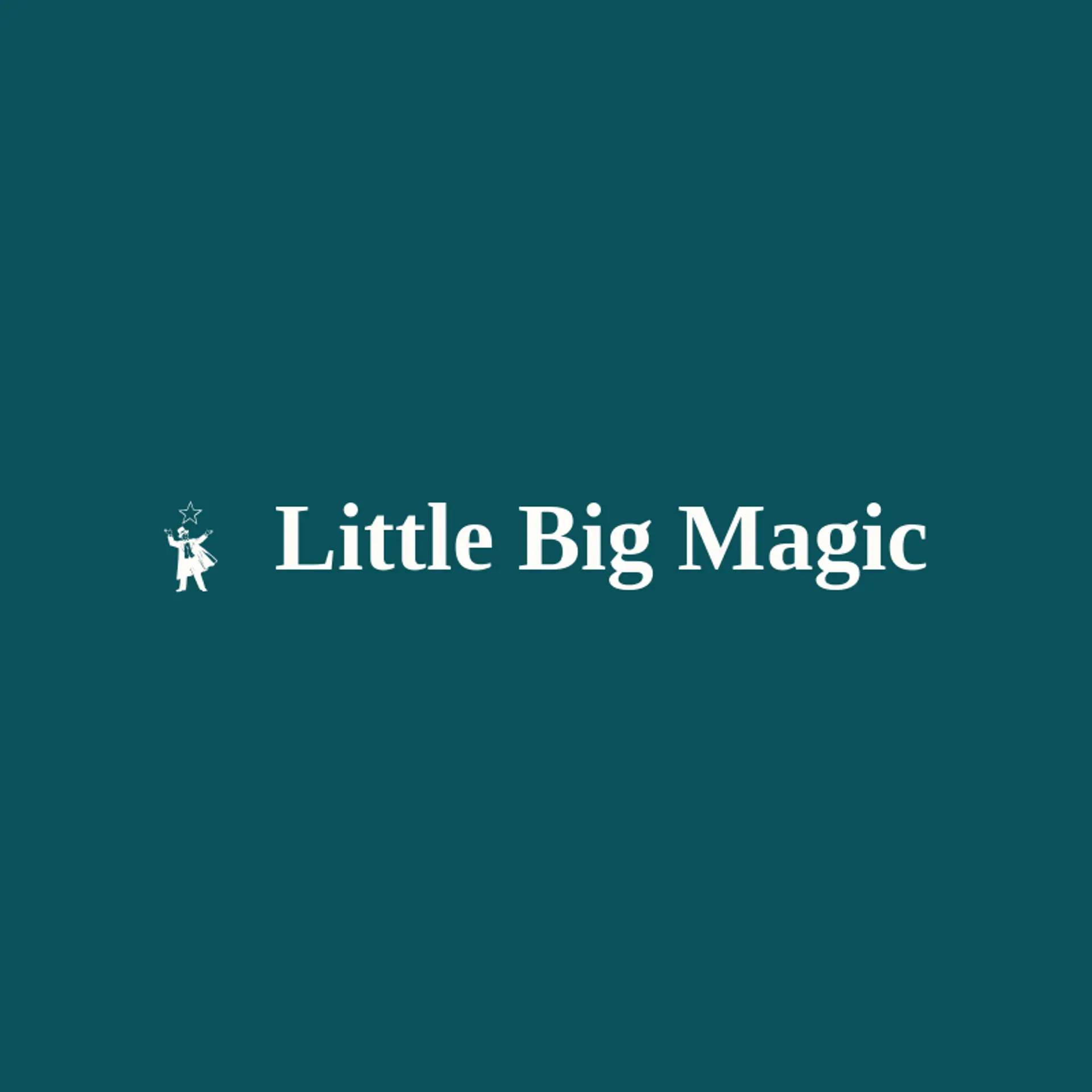Little Big Magic logo for magician
