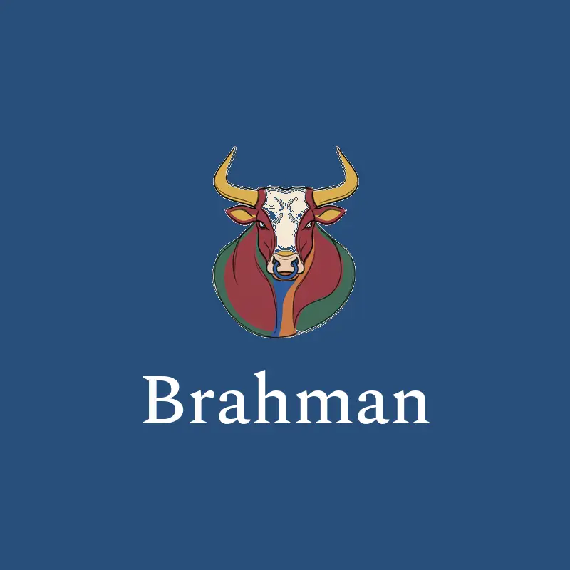 Bull illustrated cattle logo