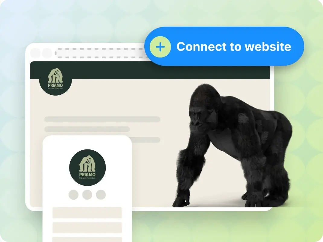 Step 3: Connect Domain to Your Website