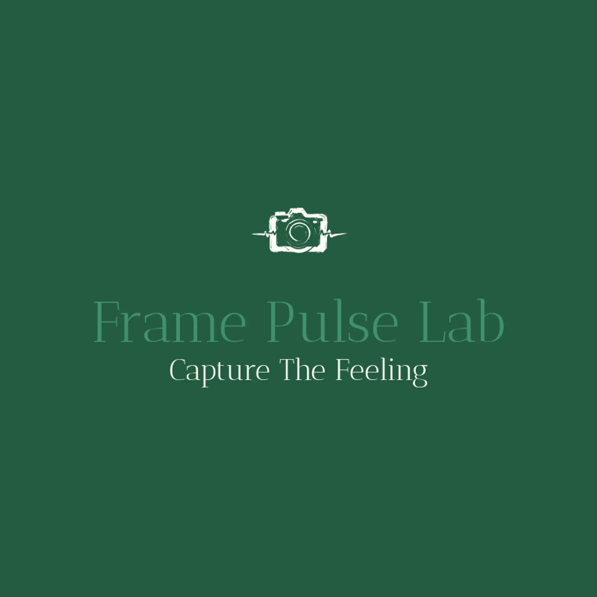 Frame Pulse Lab logo for social media