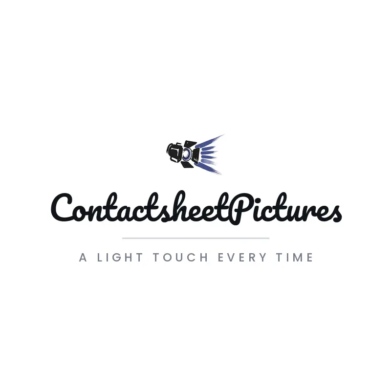 Brush painted studio hire logo with a spotlight over a camera lens