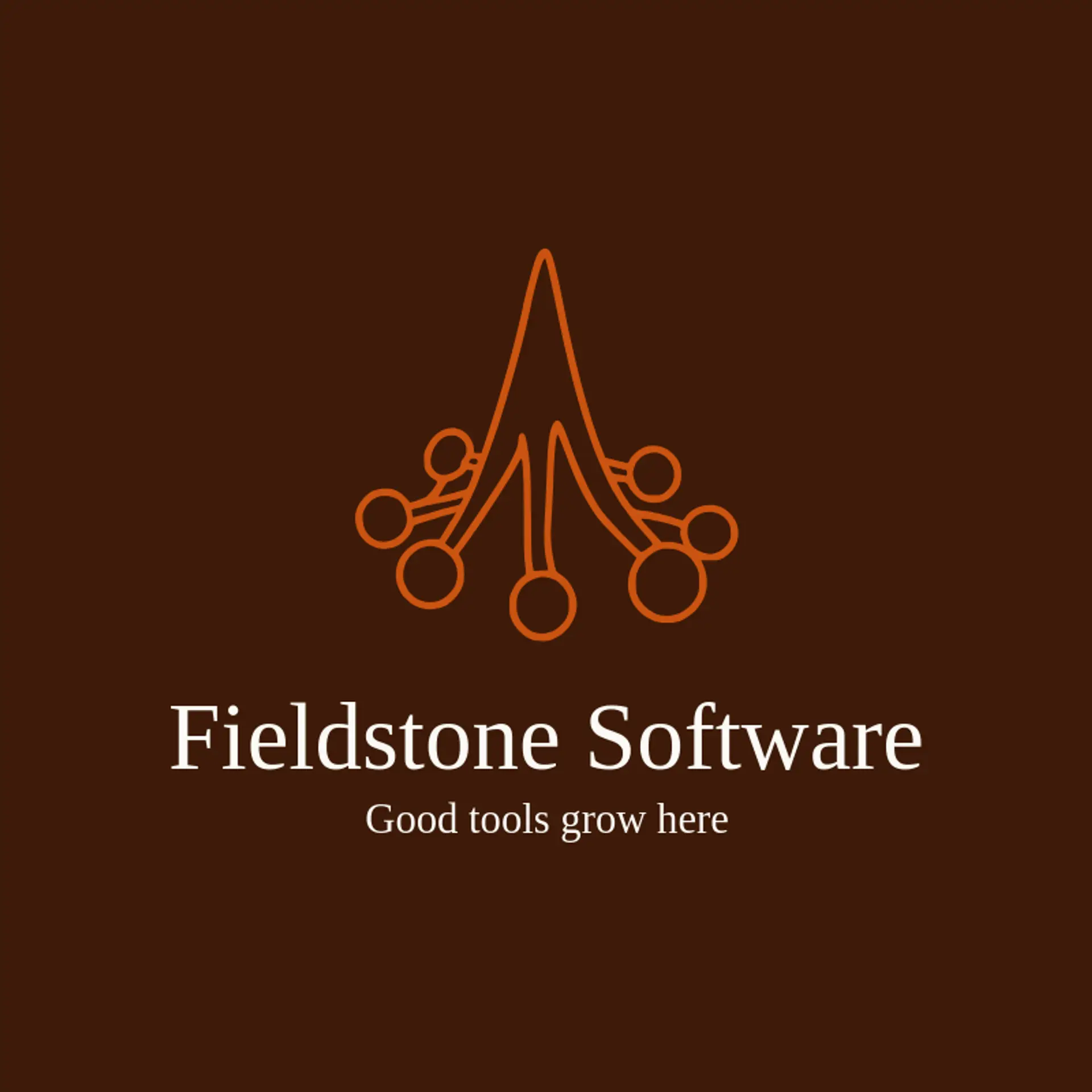 Fieldstone Software logo for information technology