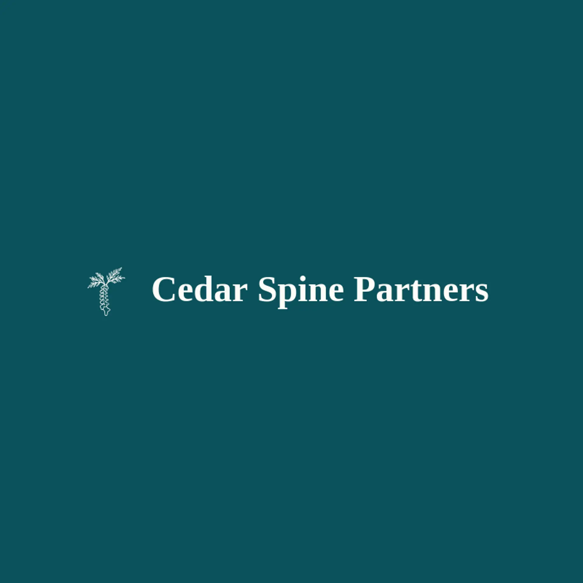 Cedar Spine Partners logo for spine