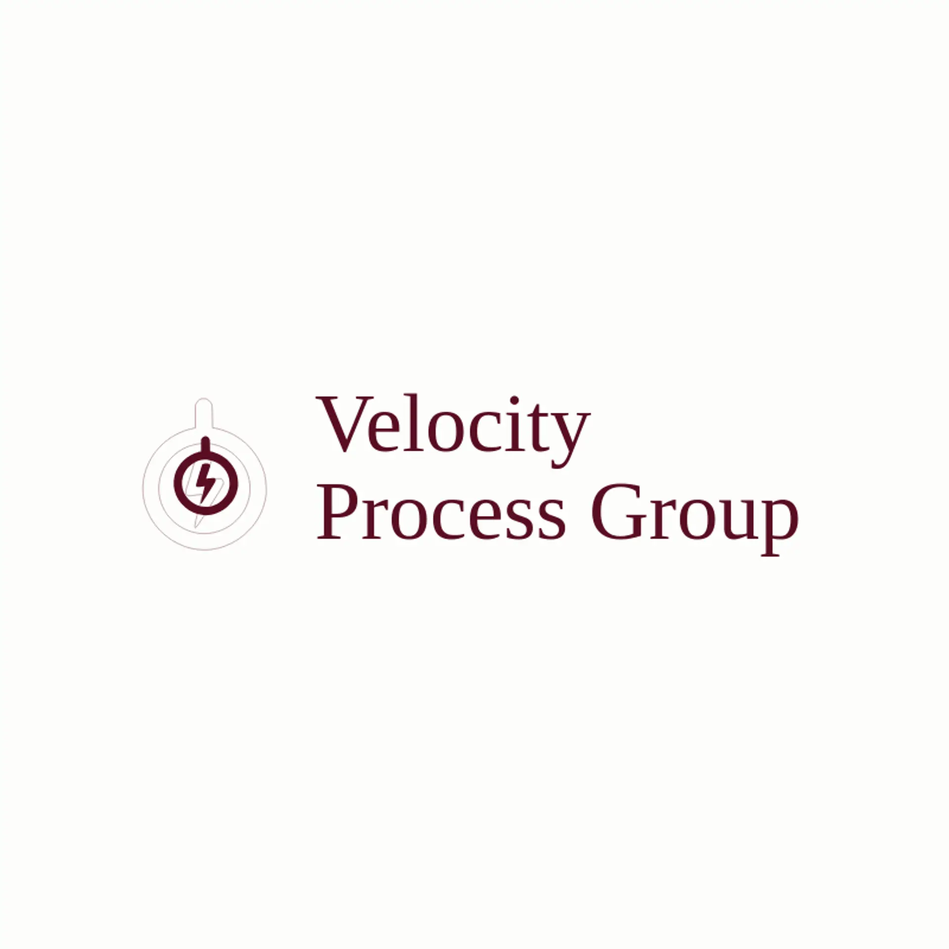 Velocity Process Group logo for automation