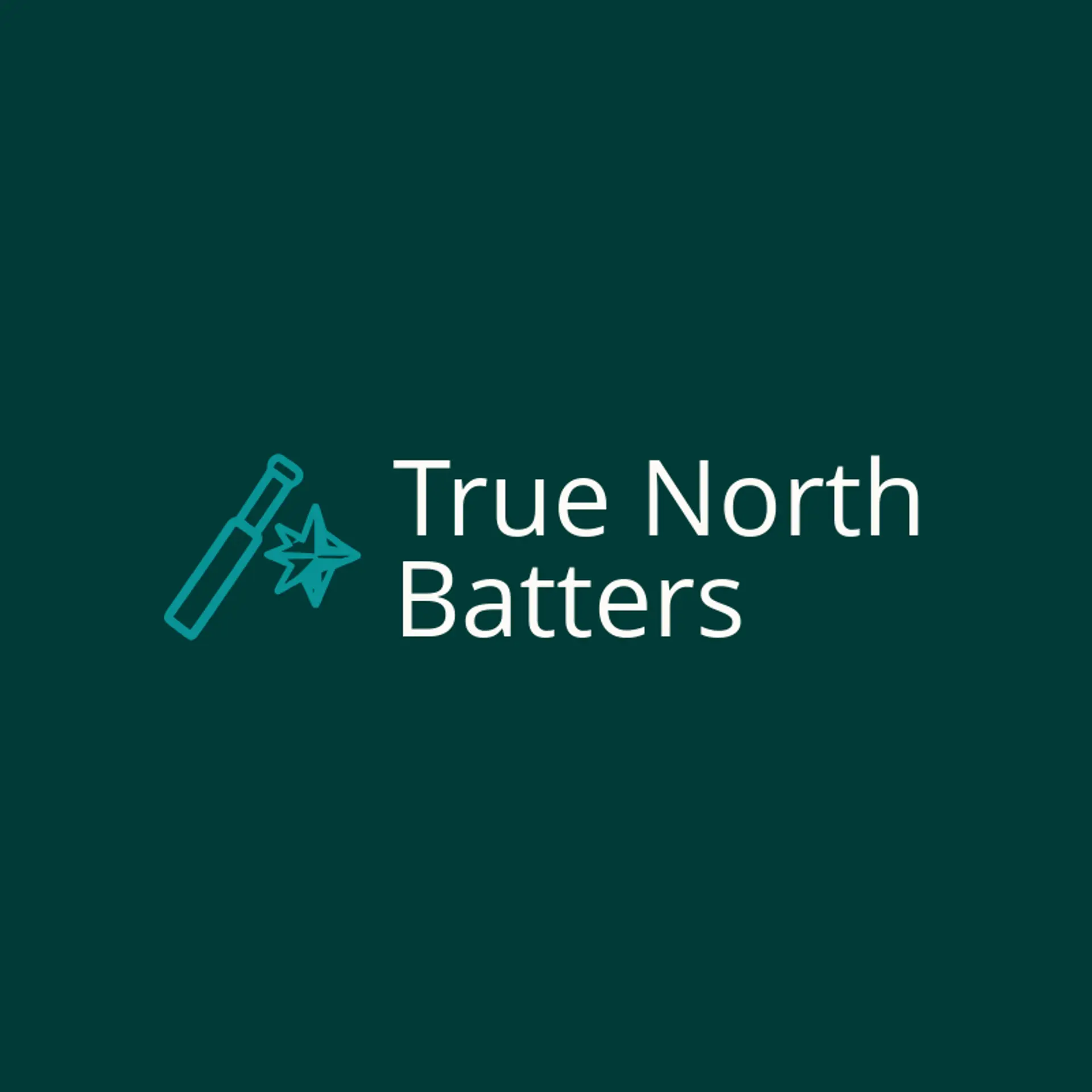 True North Batters logo for cricket team