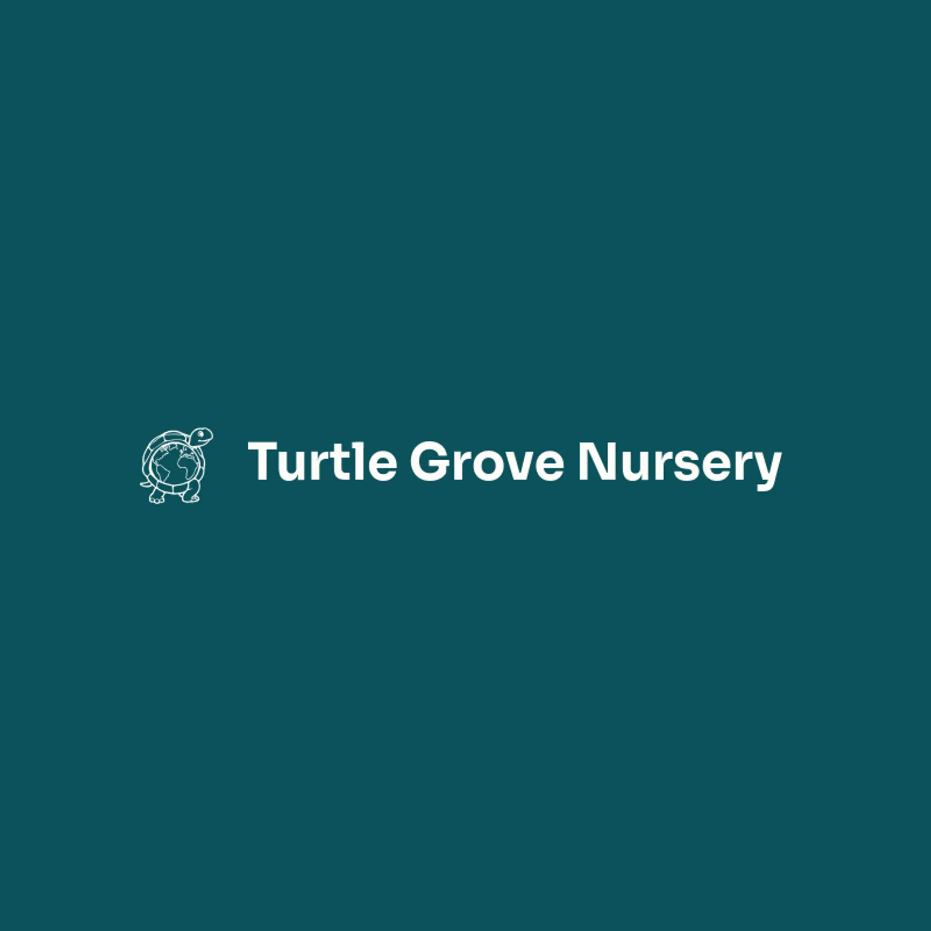 Turtle Grove Nursery logo for turtle