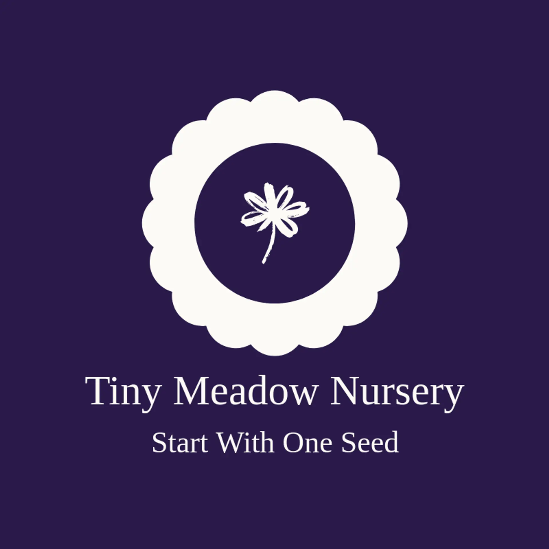 Tiny Meadow Nursery logo for wildflower
