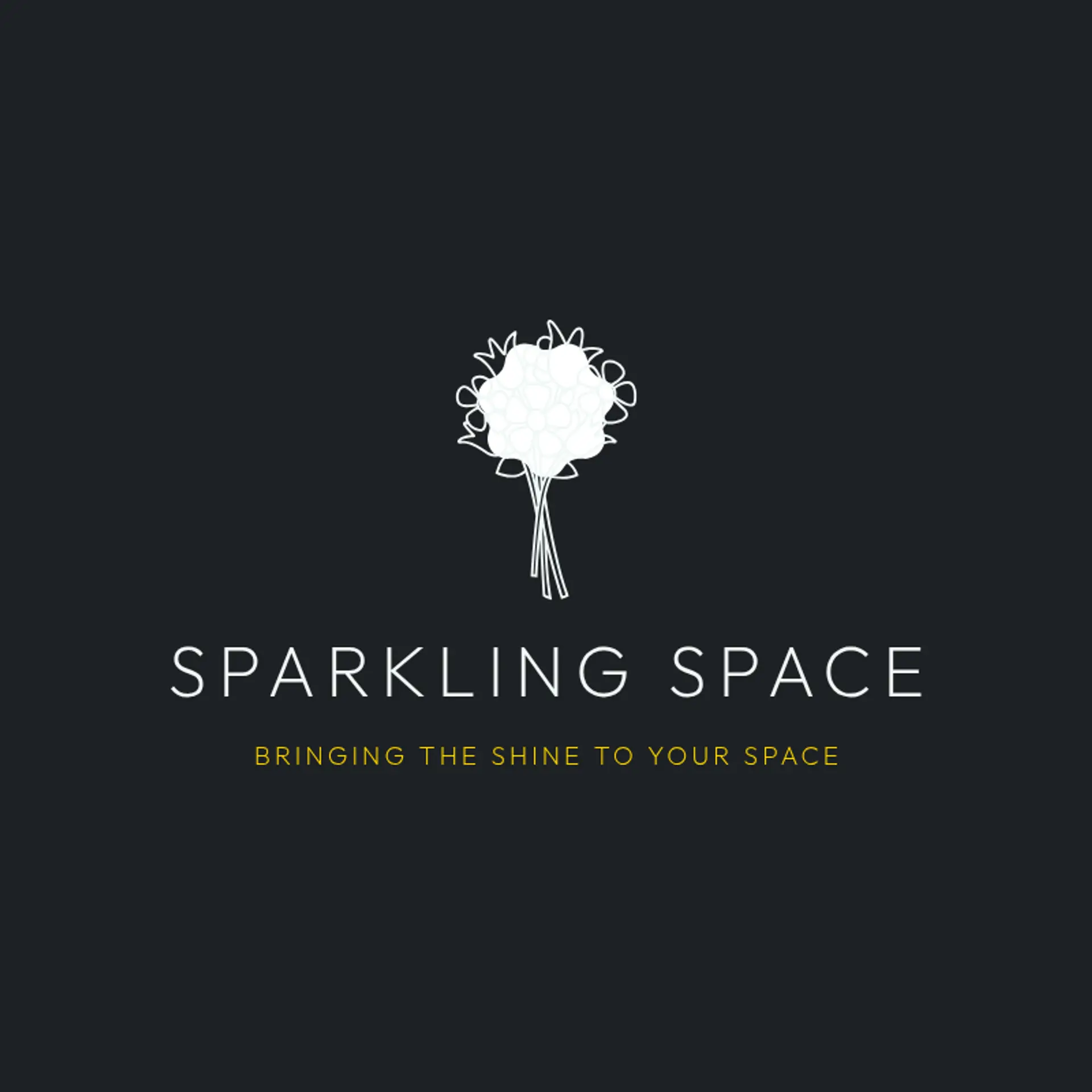 Sparkling Space logo for cleaning