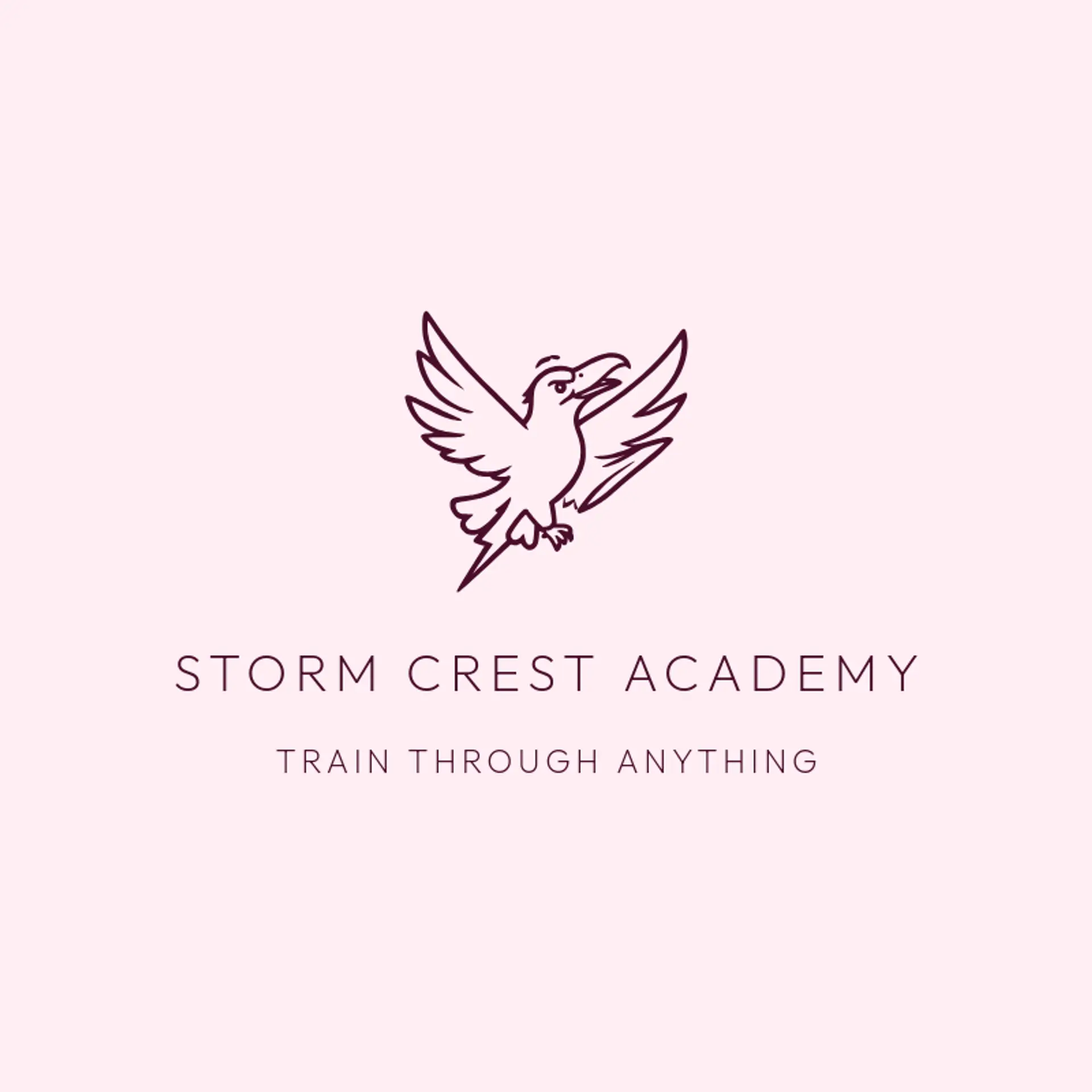 Storm Crest Academy logo for storm