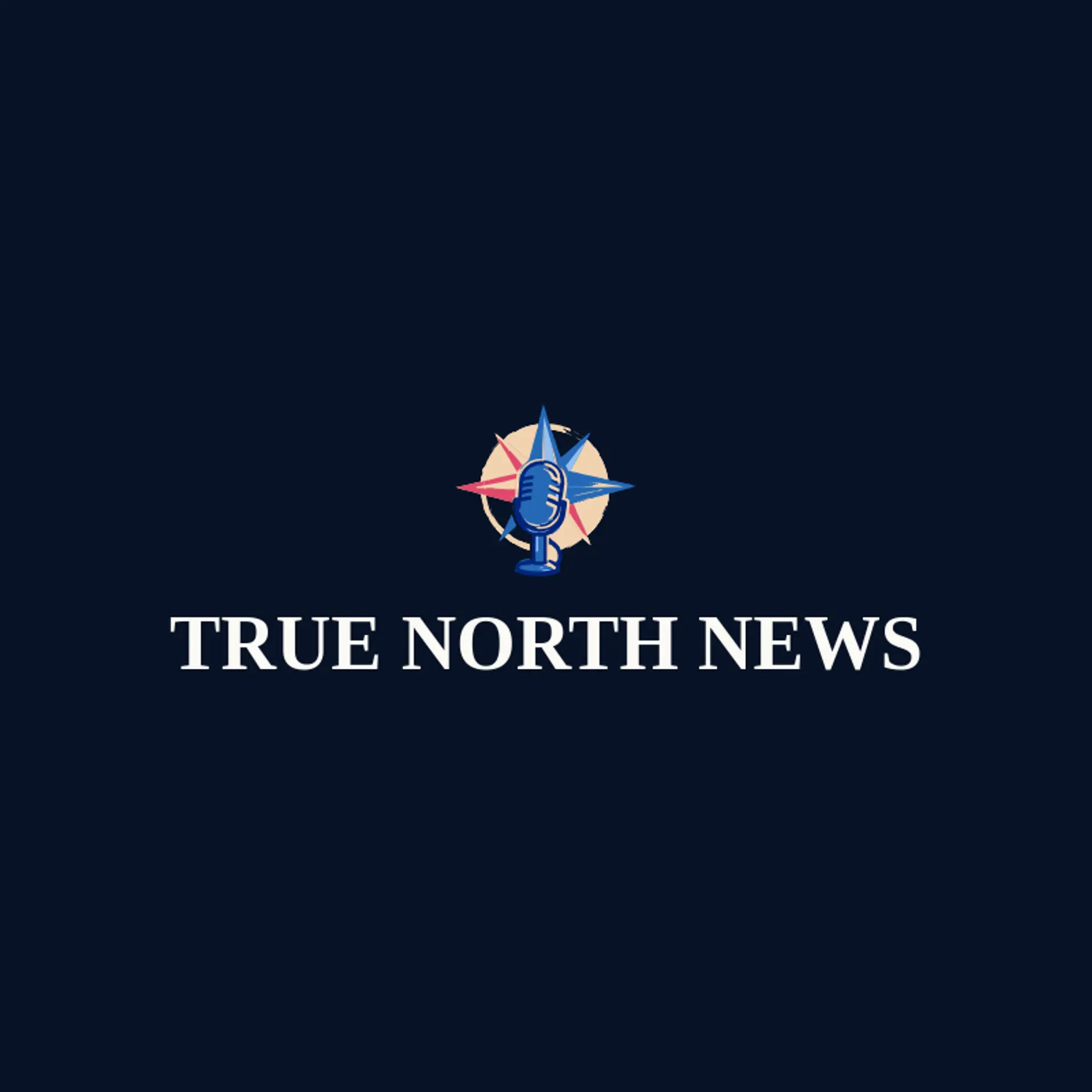 True North News logo for press