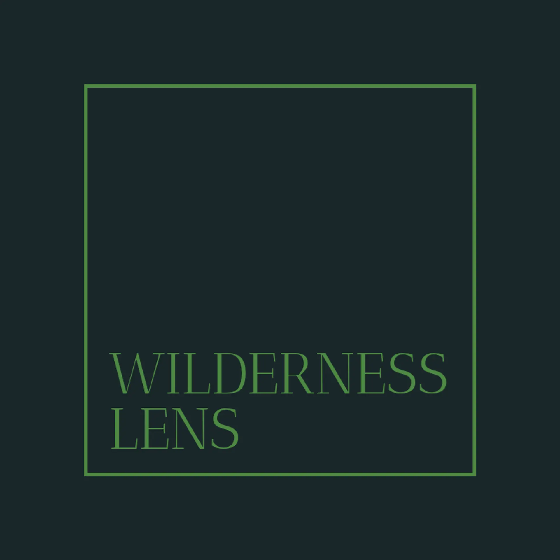 WildVista Photos logo for wildlife photography