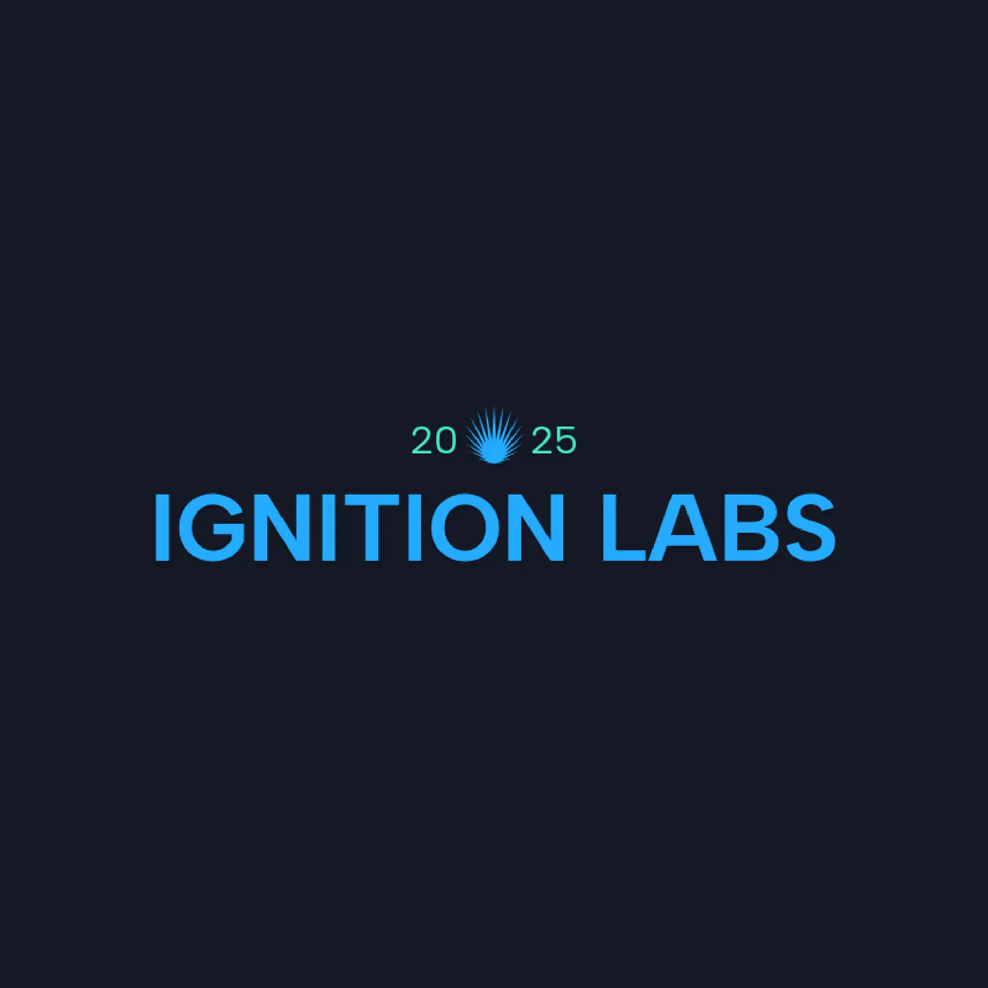 LaunchPixel logo for startup