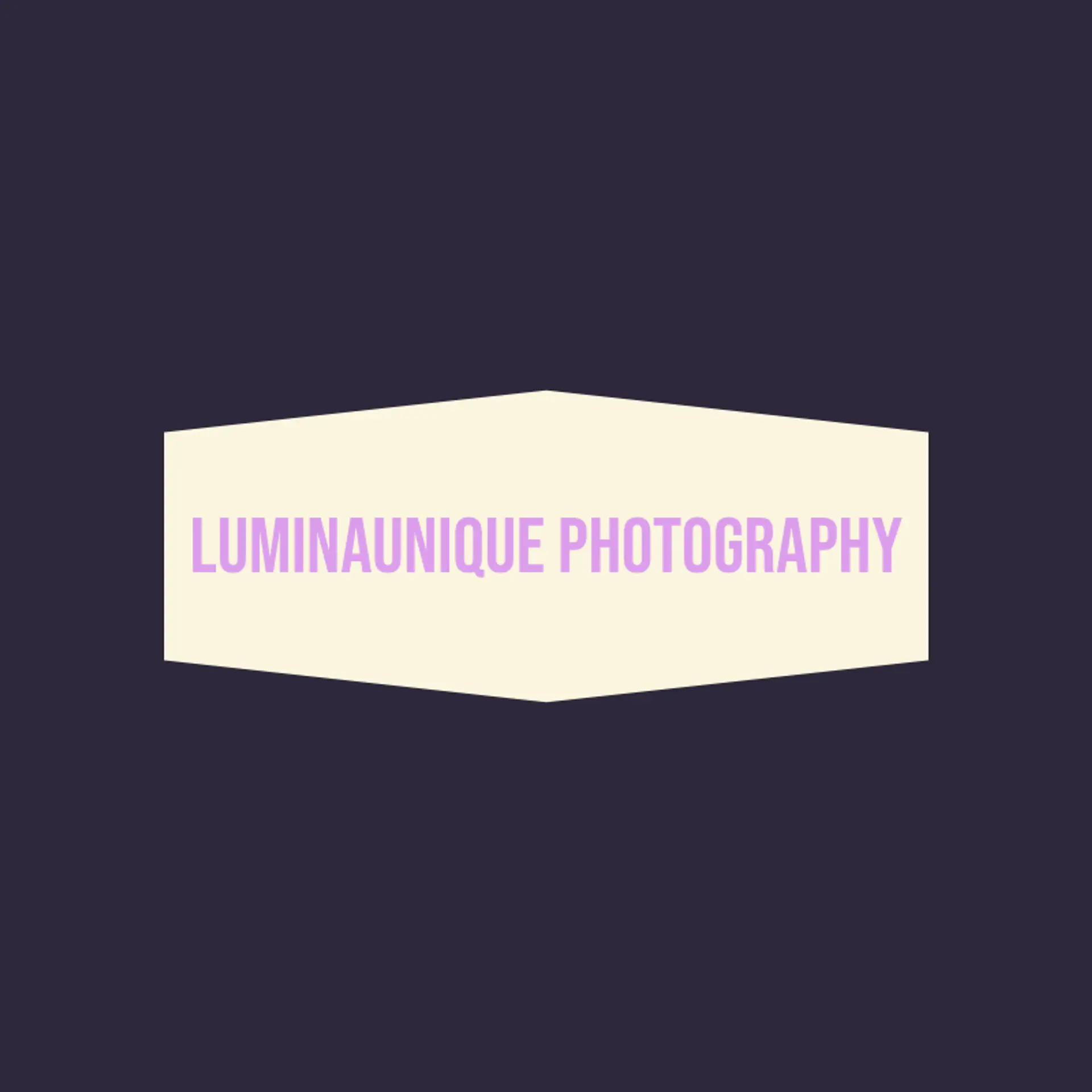 Photaristique logo for unique photography