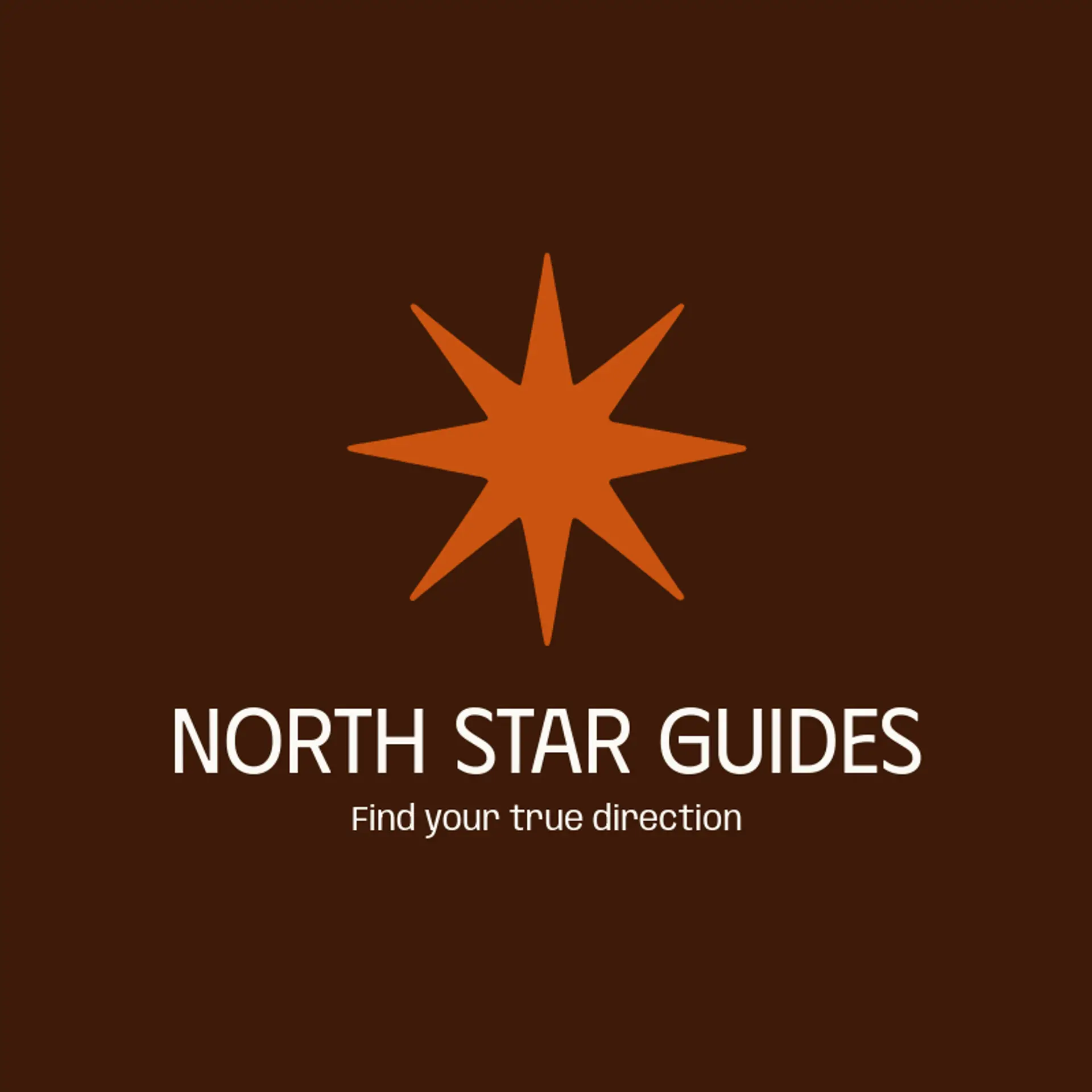 North Star Guides logo for star