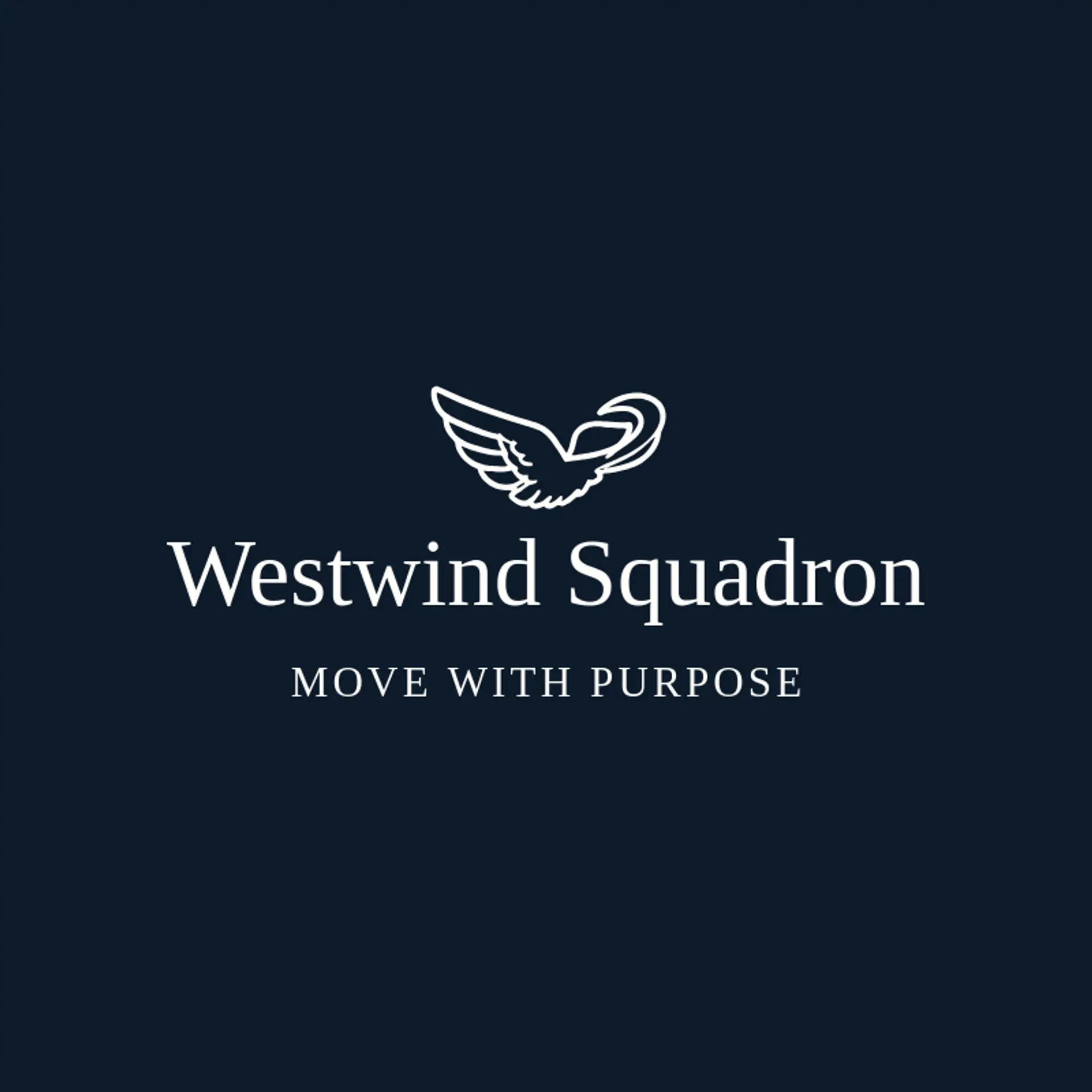 Westwind Squadron logo for air force