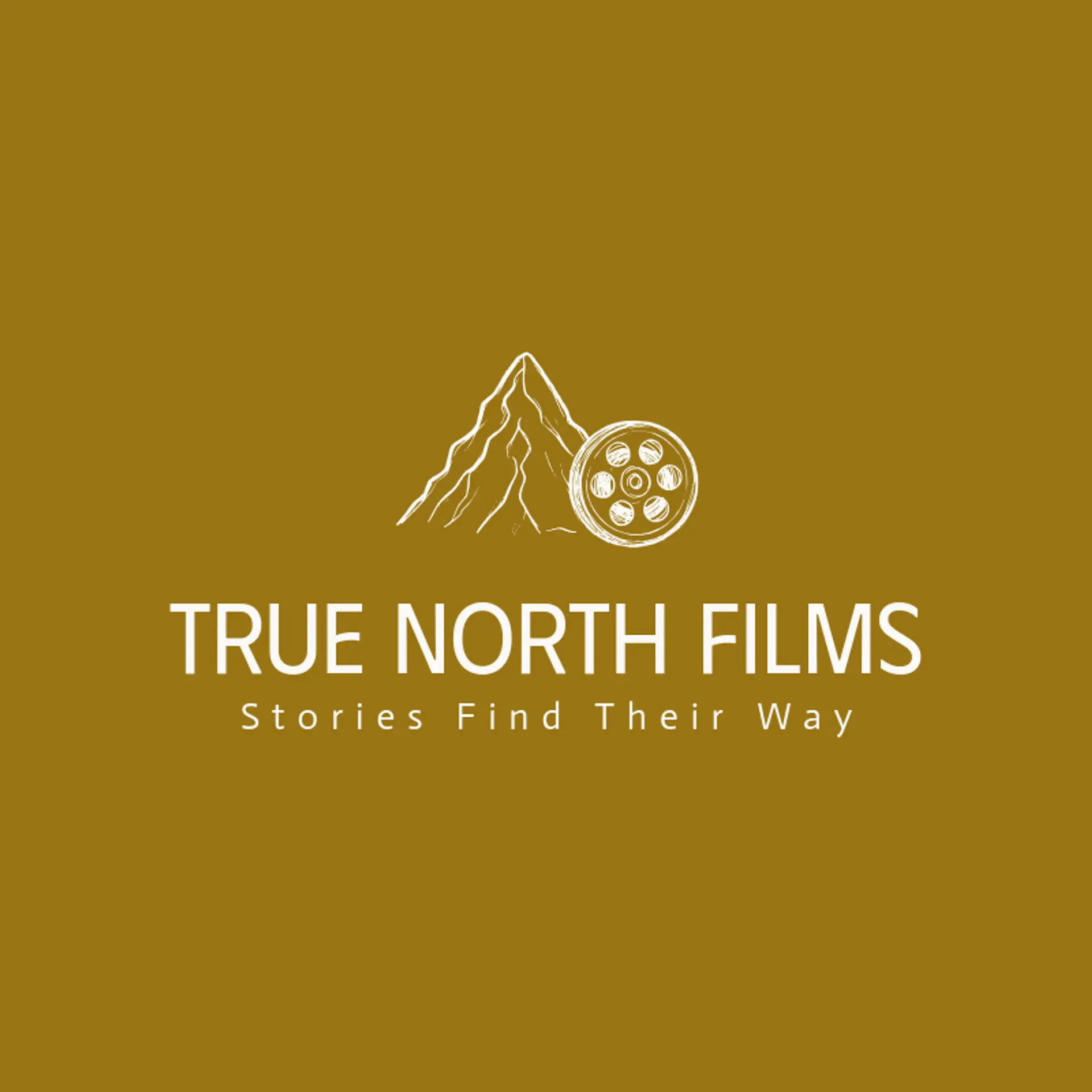 True North Films logo for cinematic