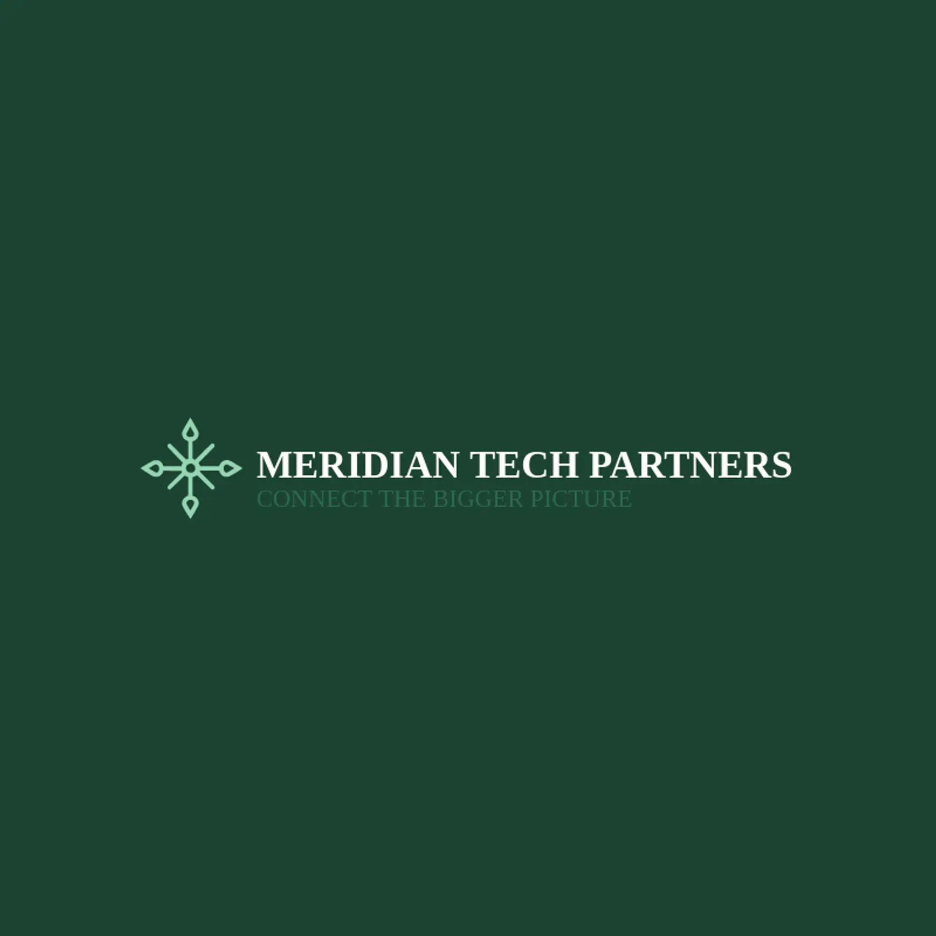 Meridian Tech Partners logo for information technology