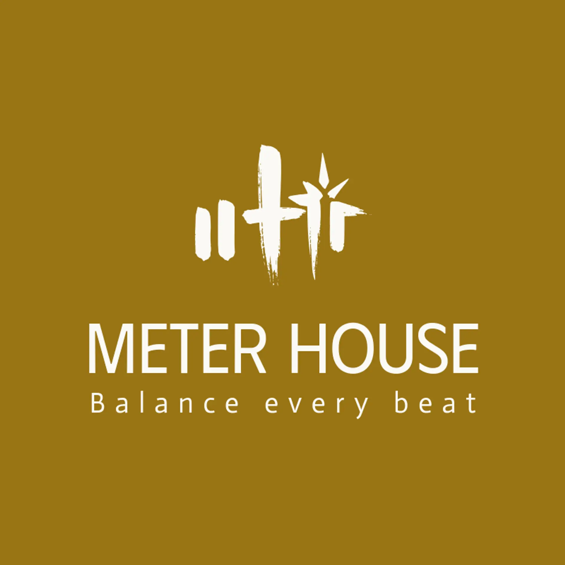 Meter House logo for audio