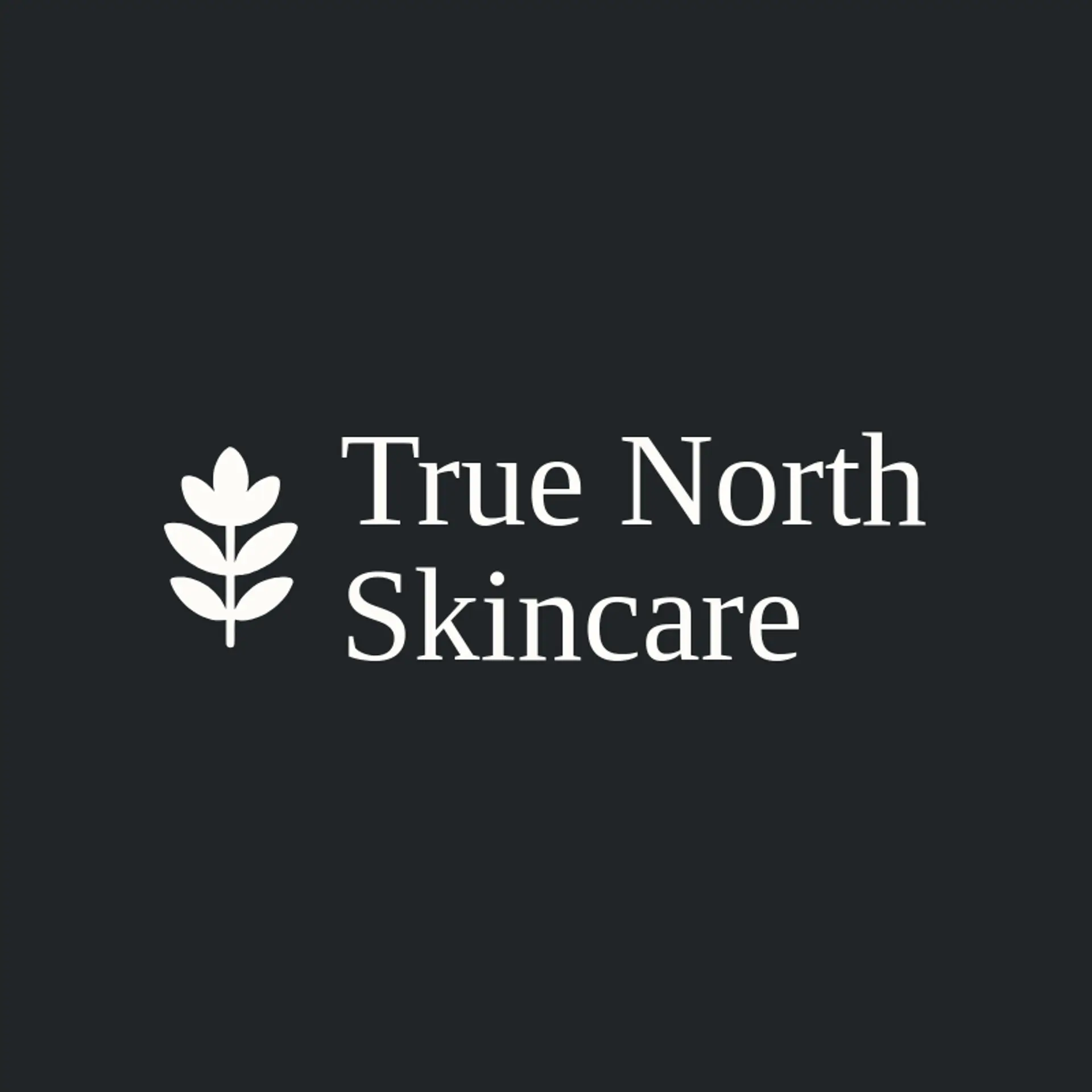 True North Skincare logo for skincare