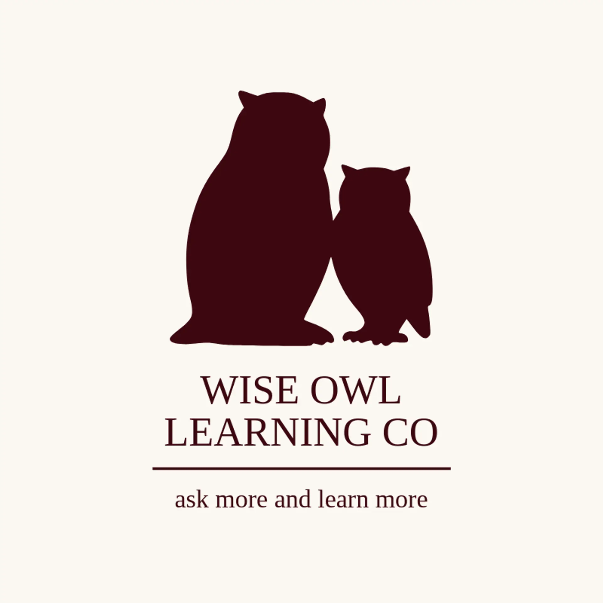 Wise Owl Learning Co logo for tutor