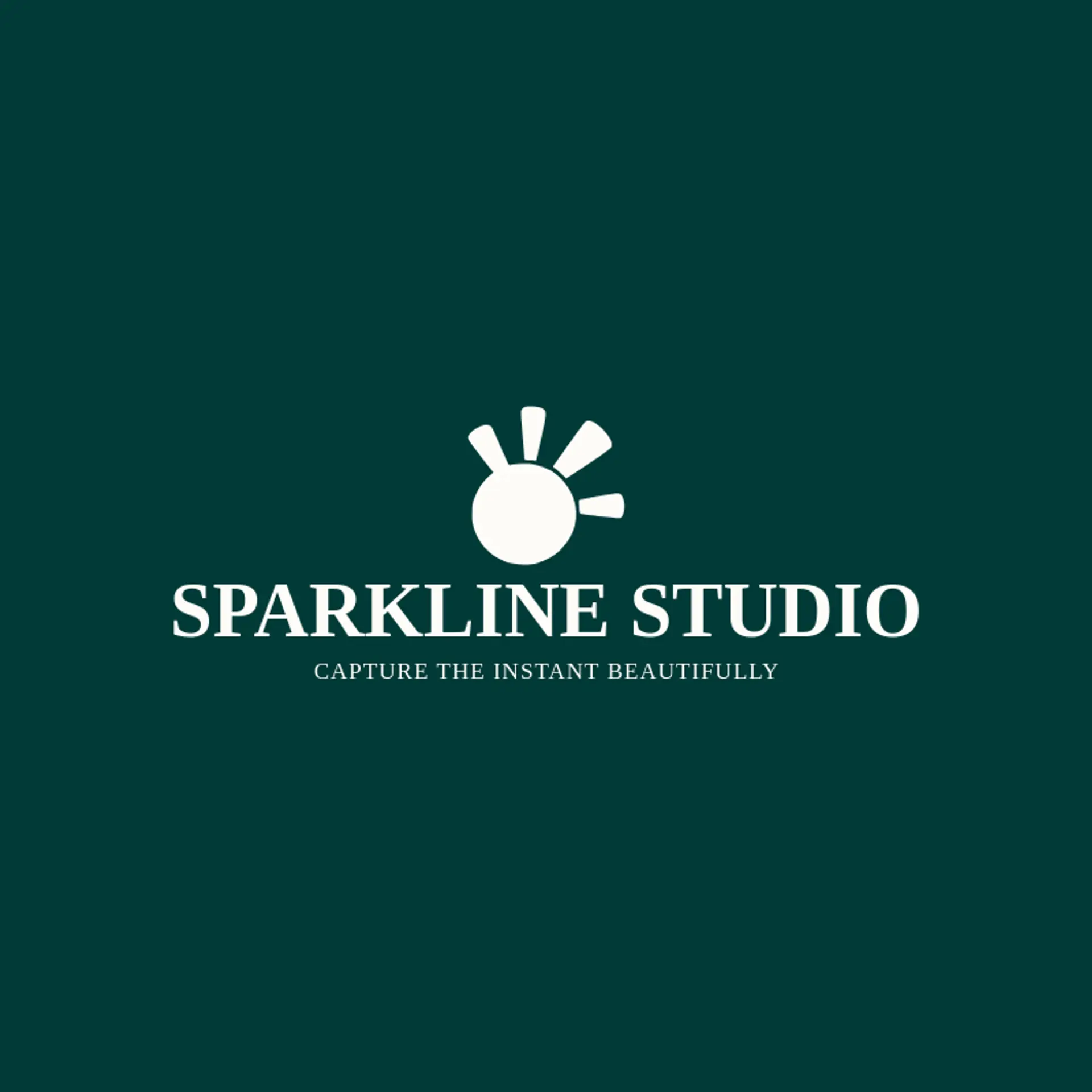 Sparkline Studio logo for flash