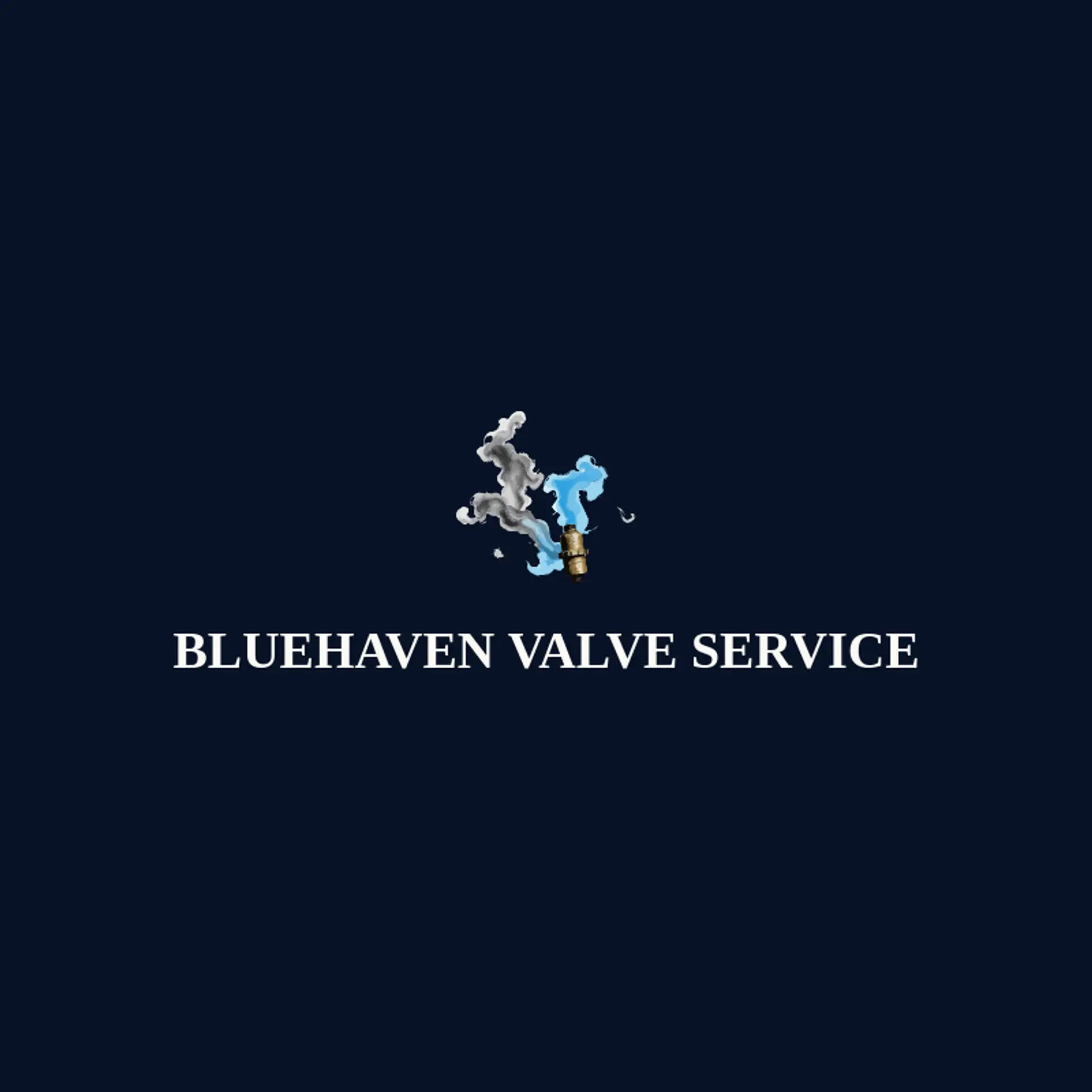 Bluehaven Valve Service logo for valve