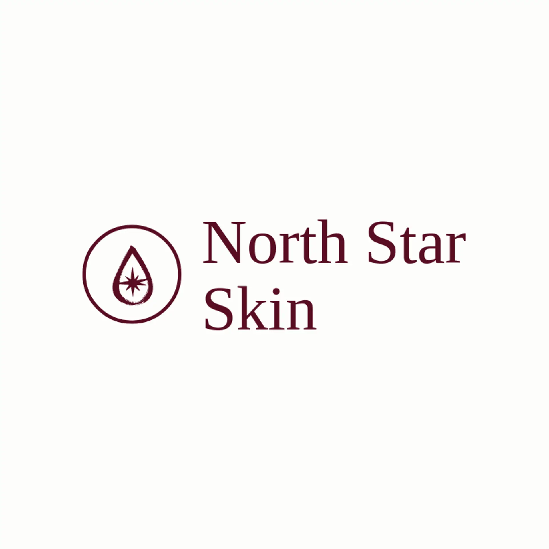 North Star Skin logo for skin