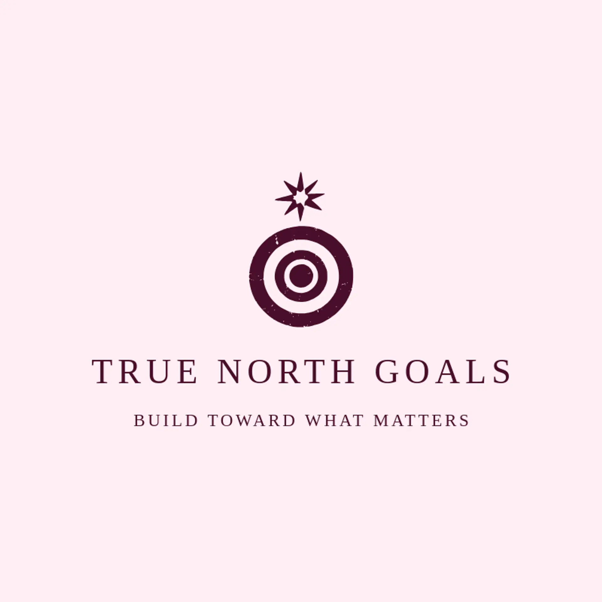 True North Goals logo for goal