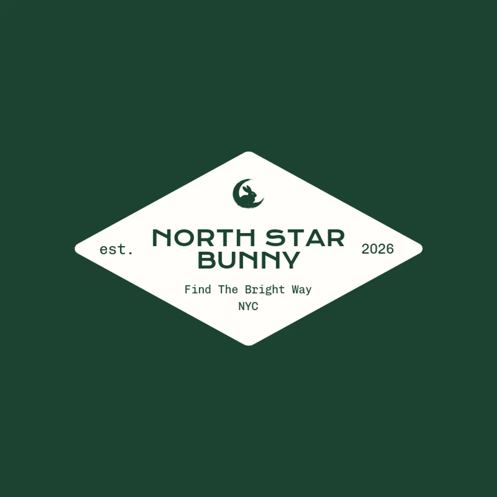 North Star Bunny logo for bunny