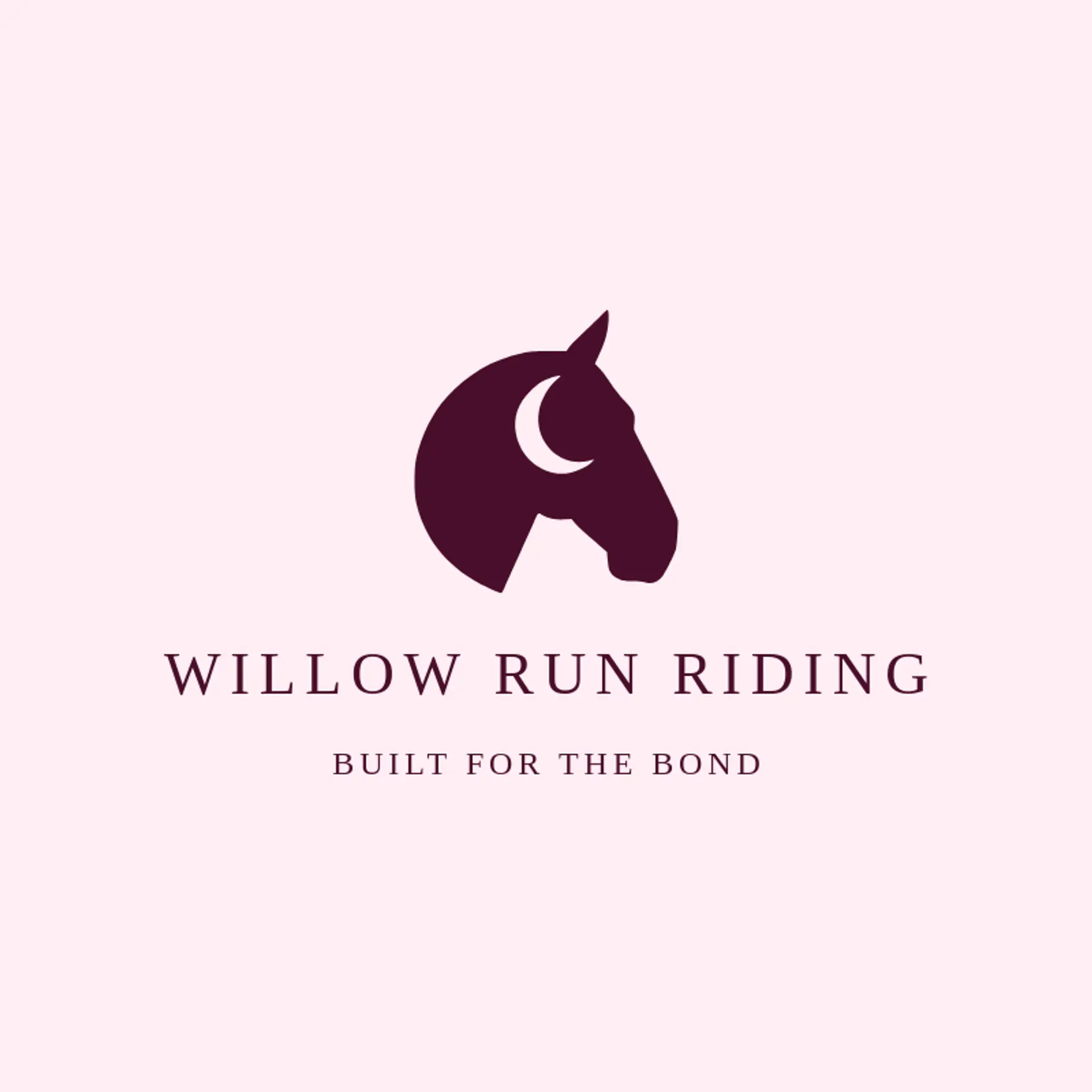 Willow Run Riding logo for horse head