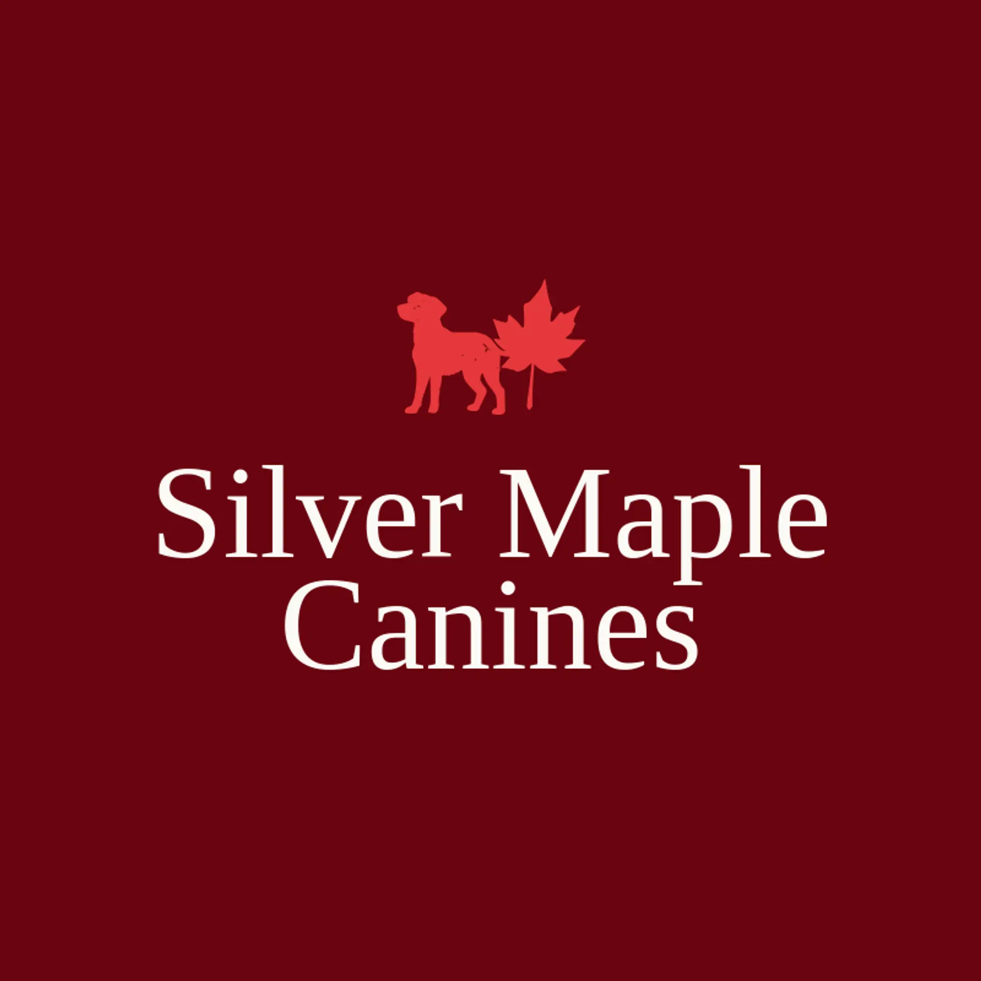 Silver Maple Canines logo for dog training
