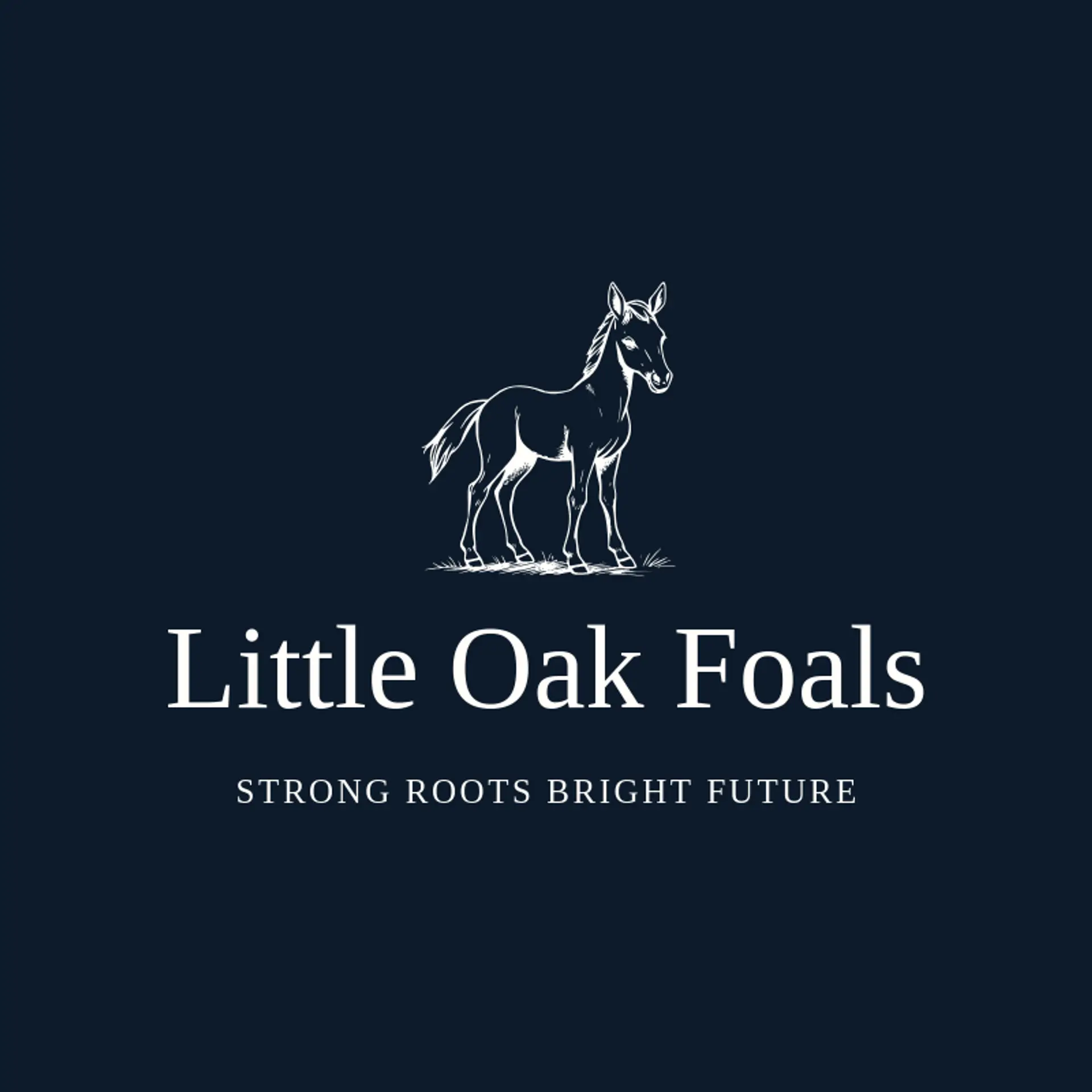 Little Oak Foals logo for colt
