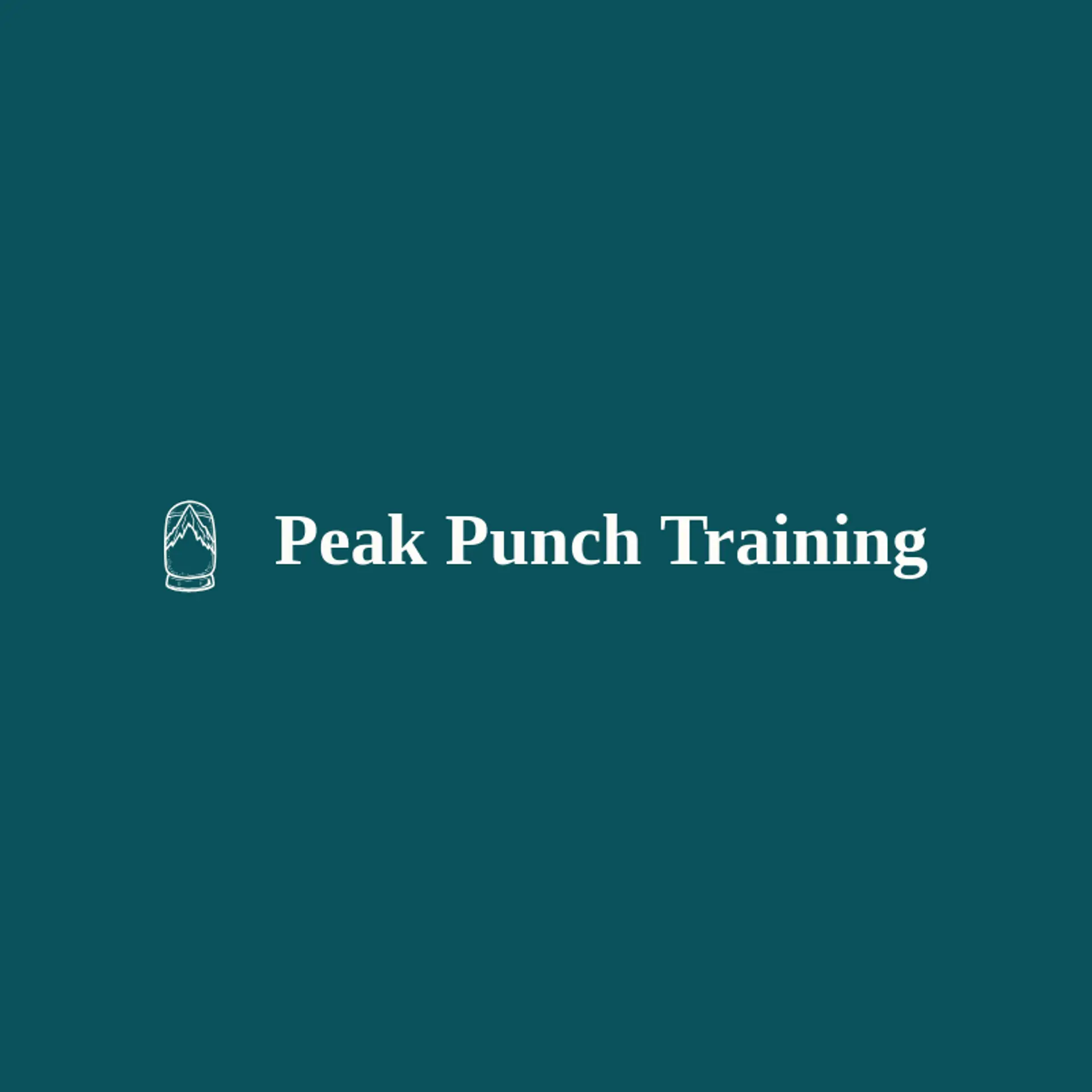 Peak Punch Training logo for boxing