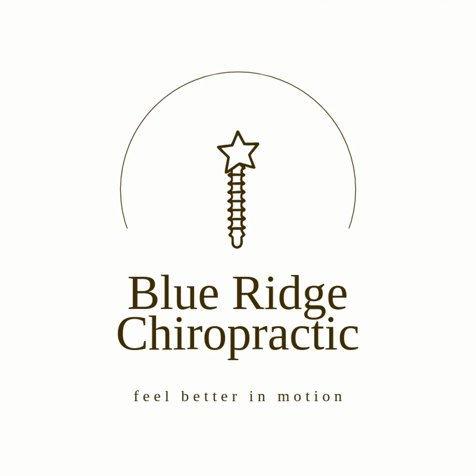Blue Ridge Chiropractic logo for chiropractic