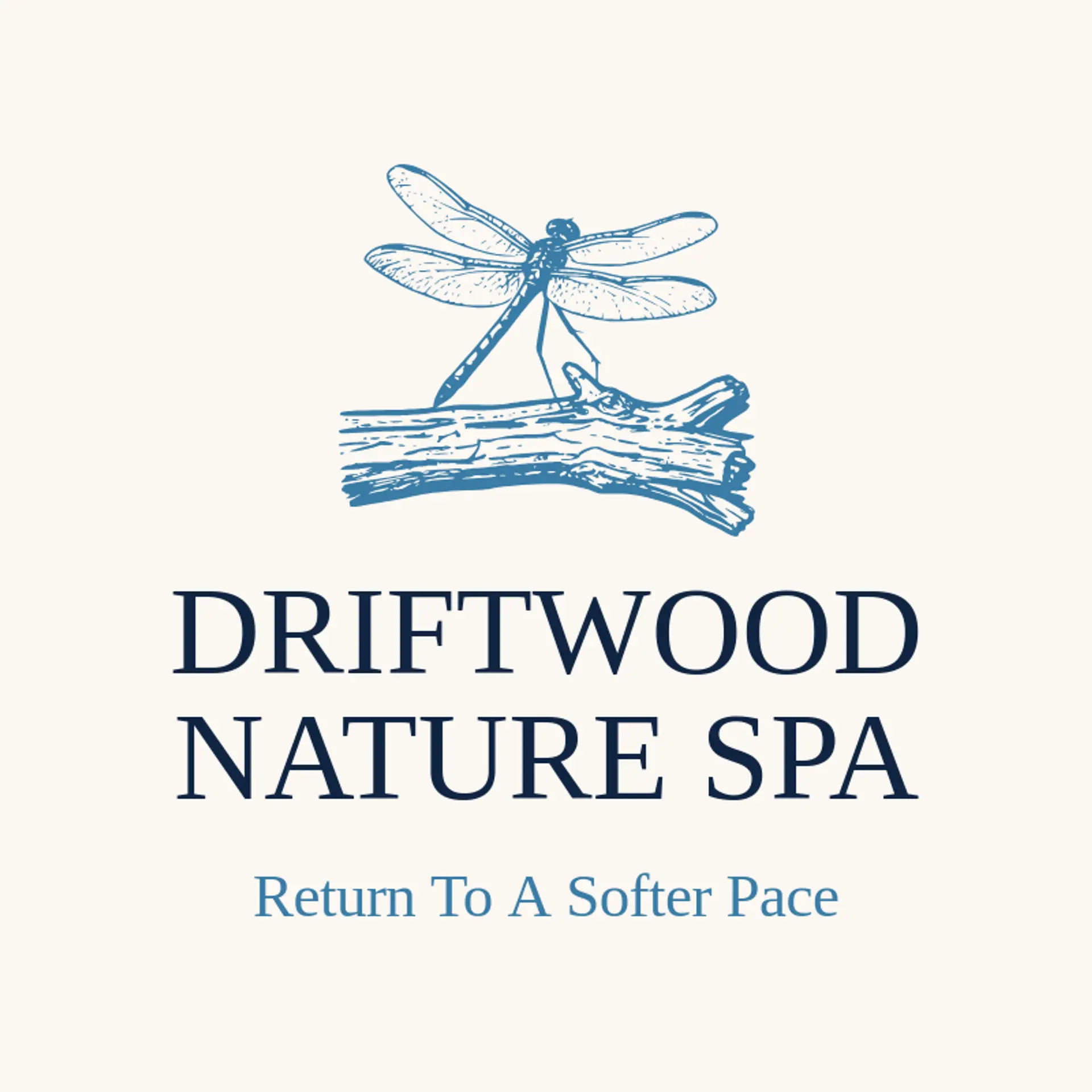 Driftwood Nature Spa logo for dragonfly