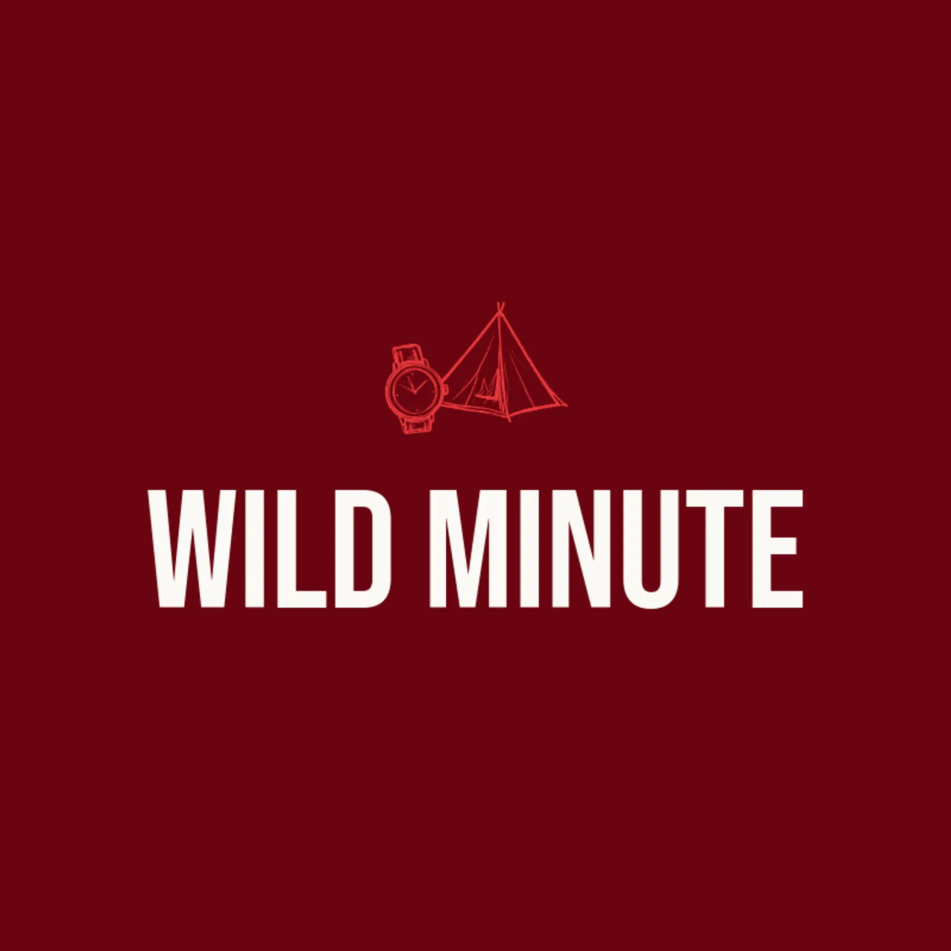 Wild Minute logo for watch