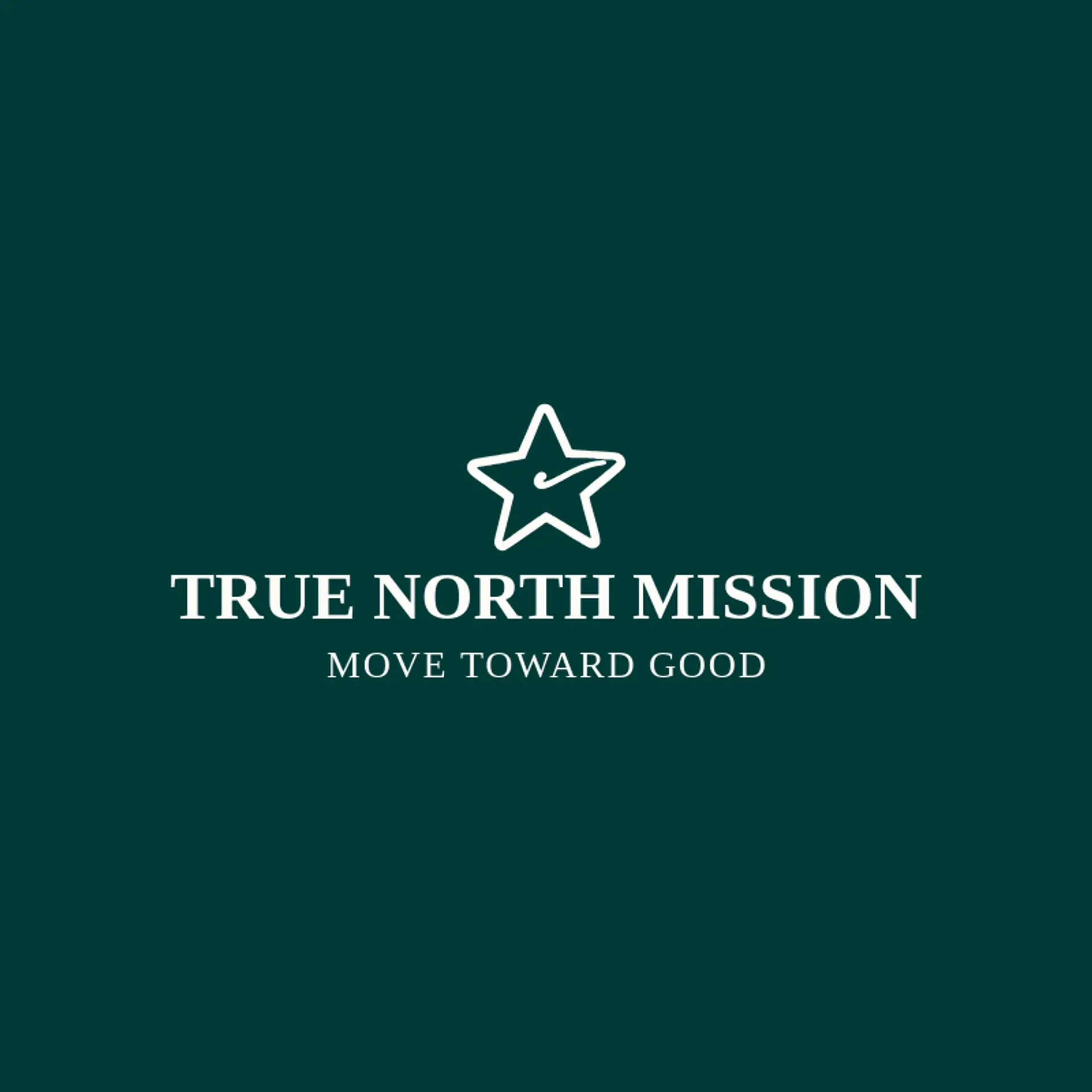 True North Mission logo for mission